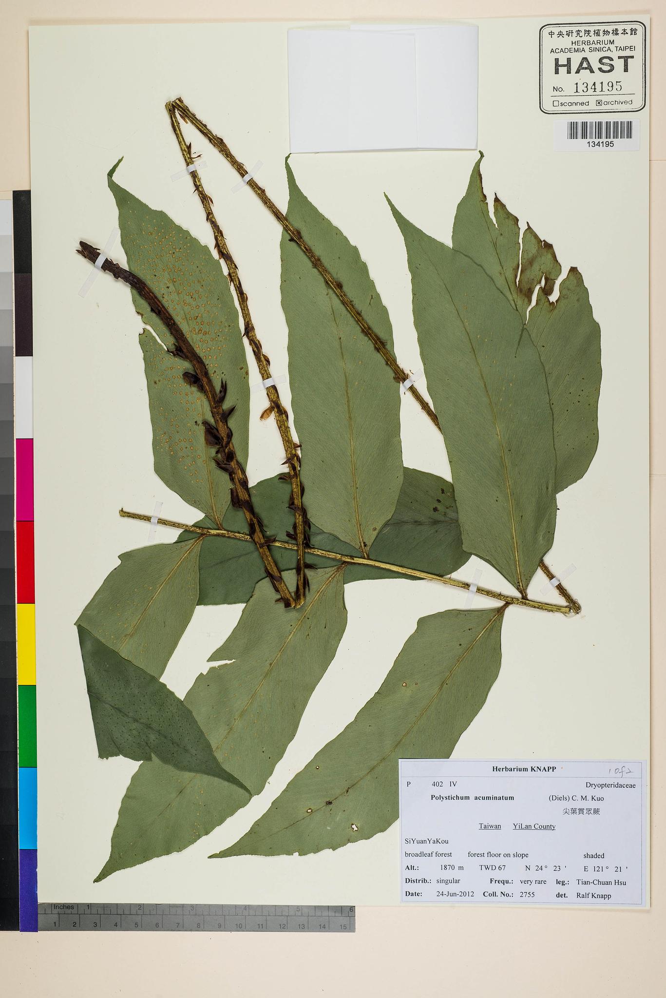 Sample image for viewer