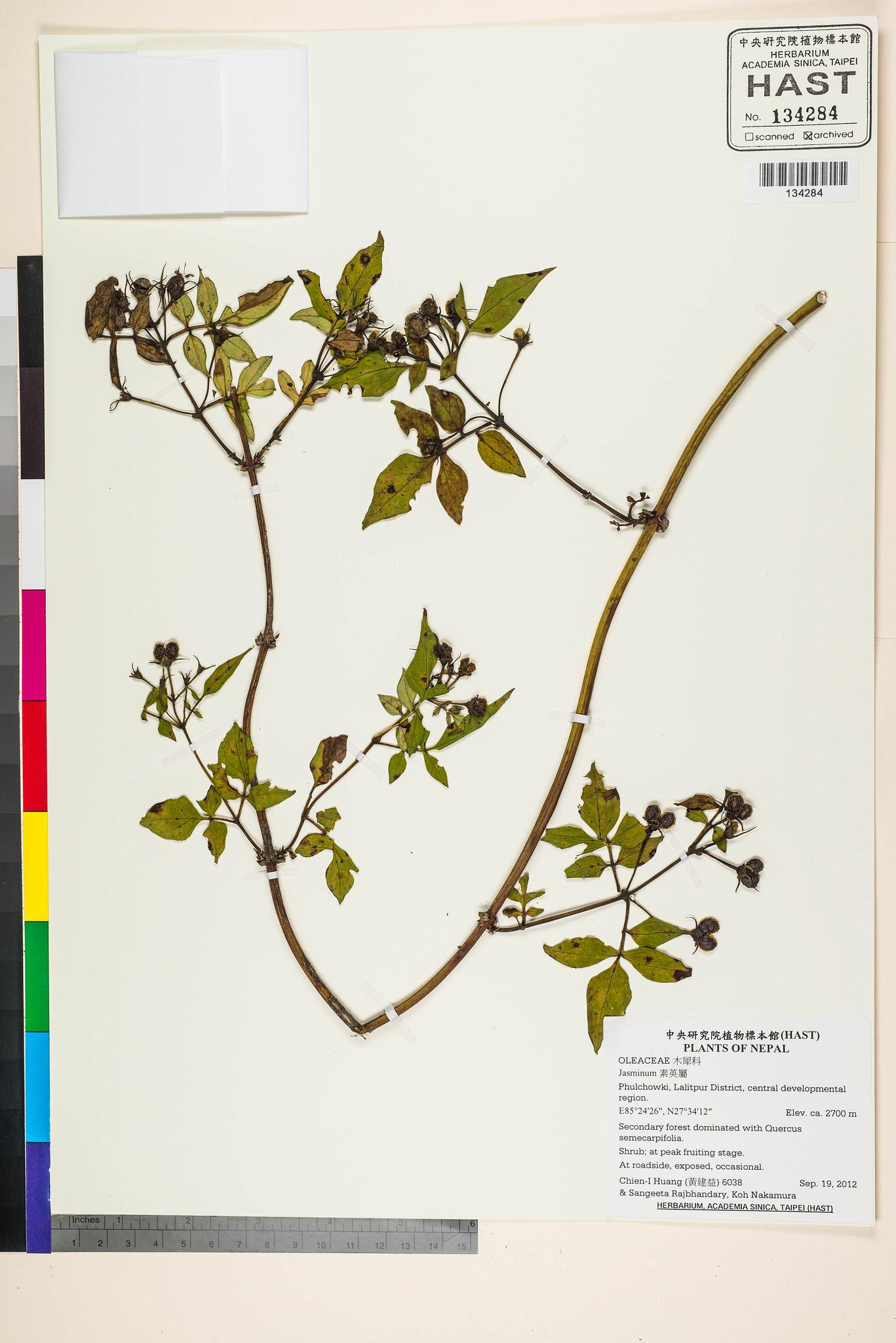 Sample image for viewer