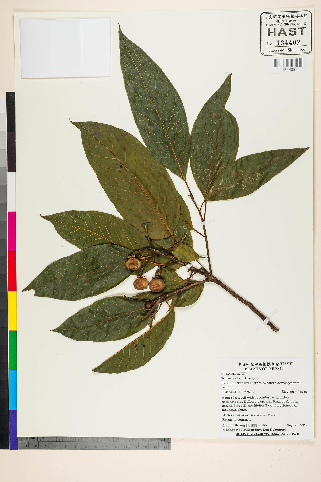 Sample image for viewer