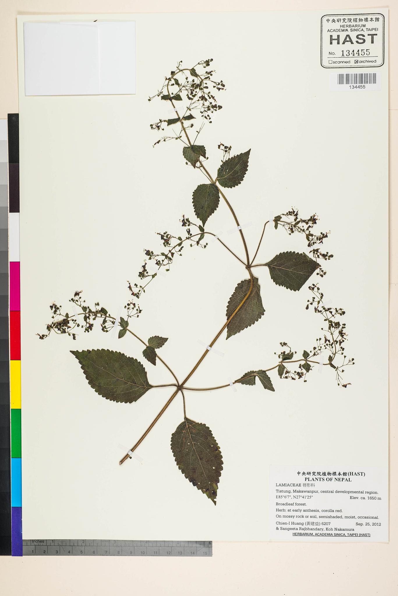 Sample image for viewer