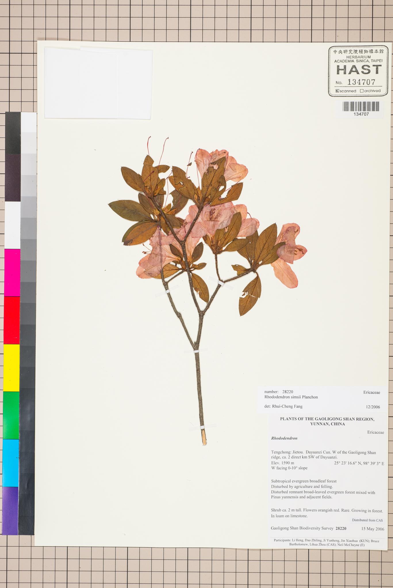 Sample image for viewer