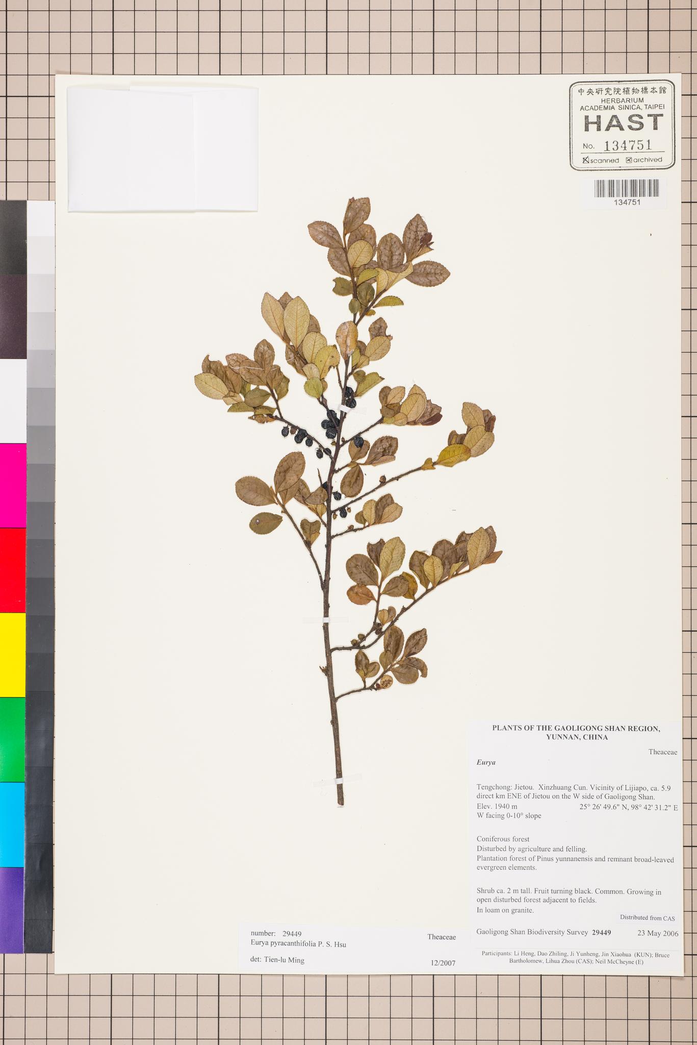 Sample image for viewer