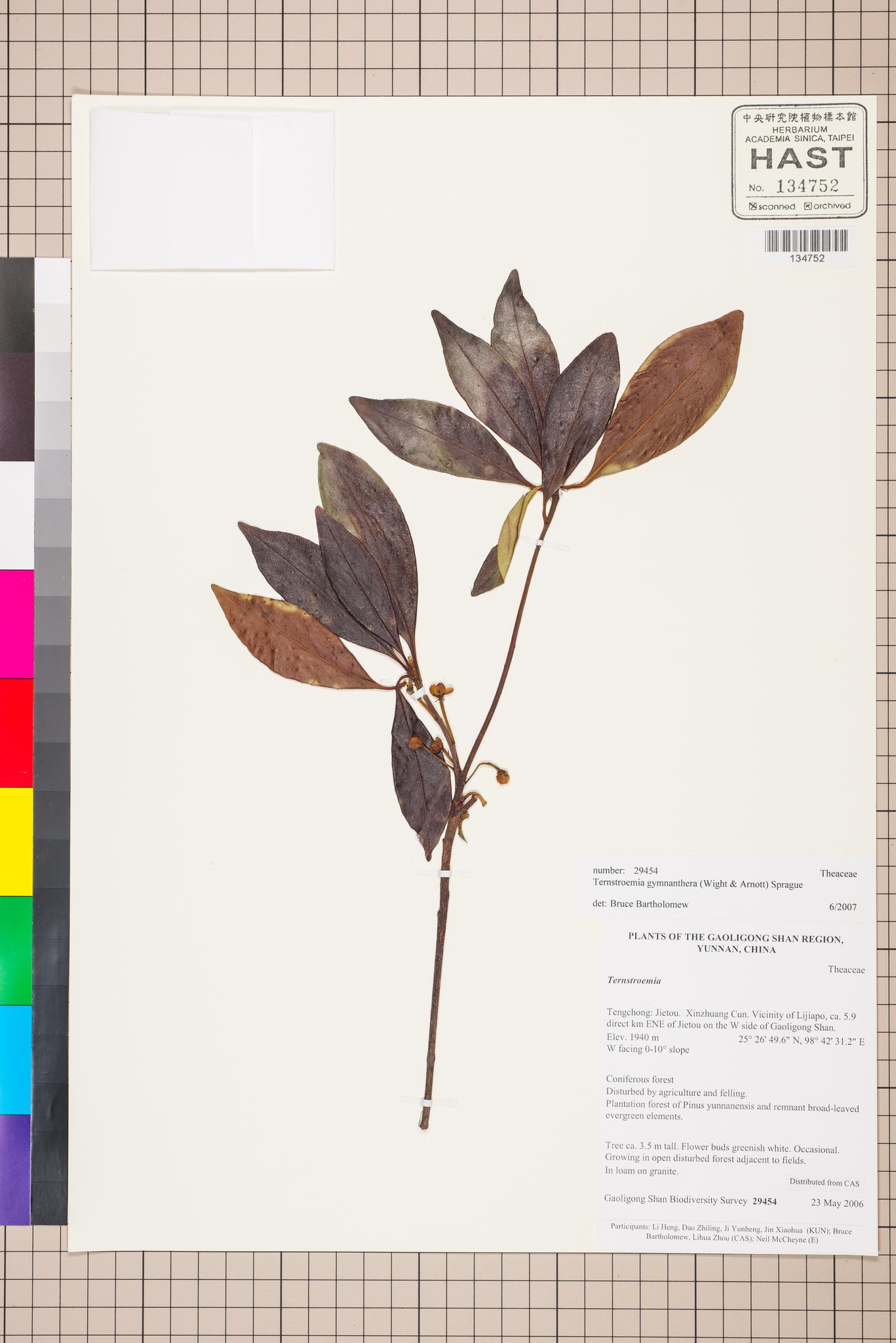 Sample image for viewer