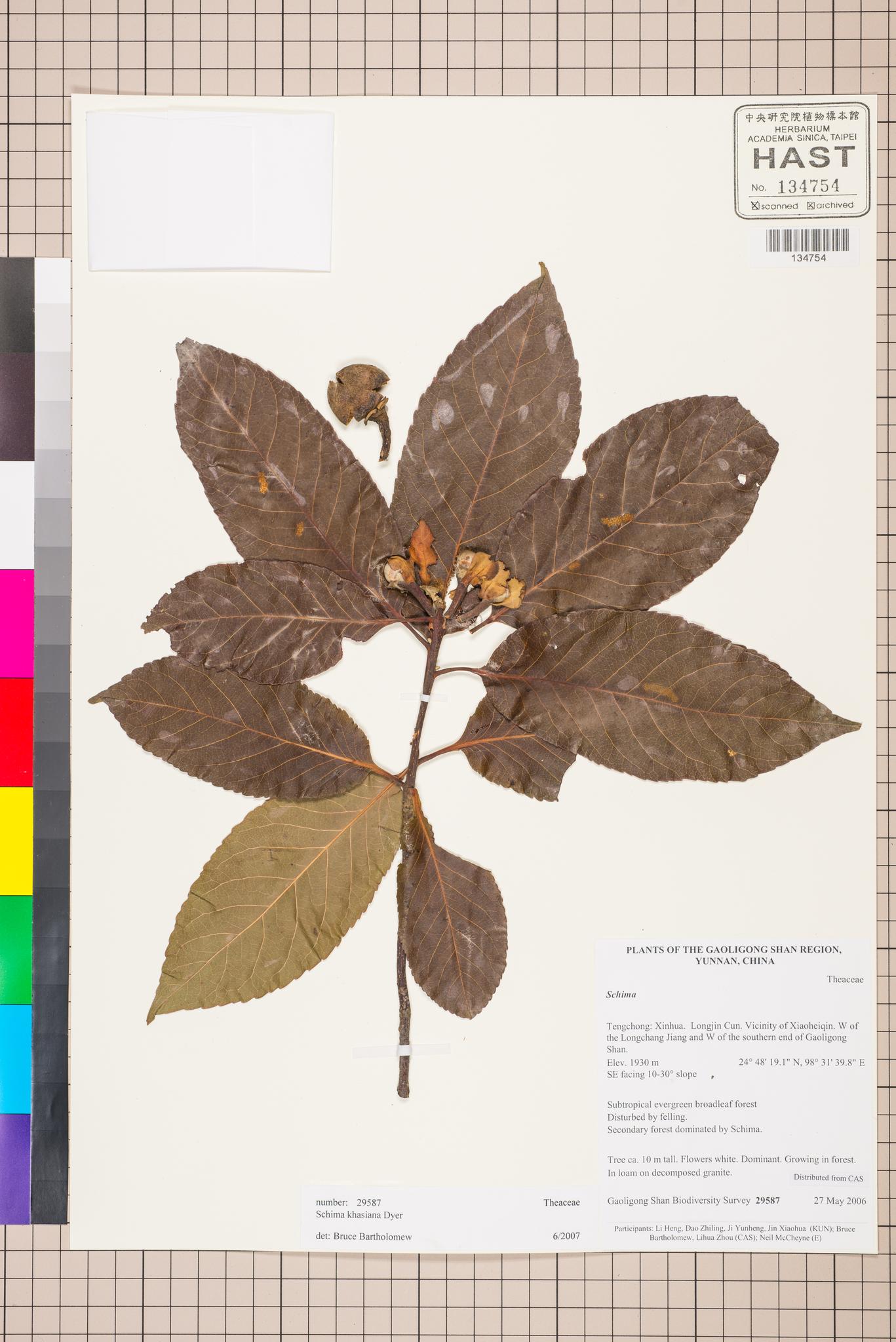 Sample image for viewer