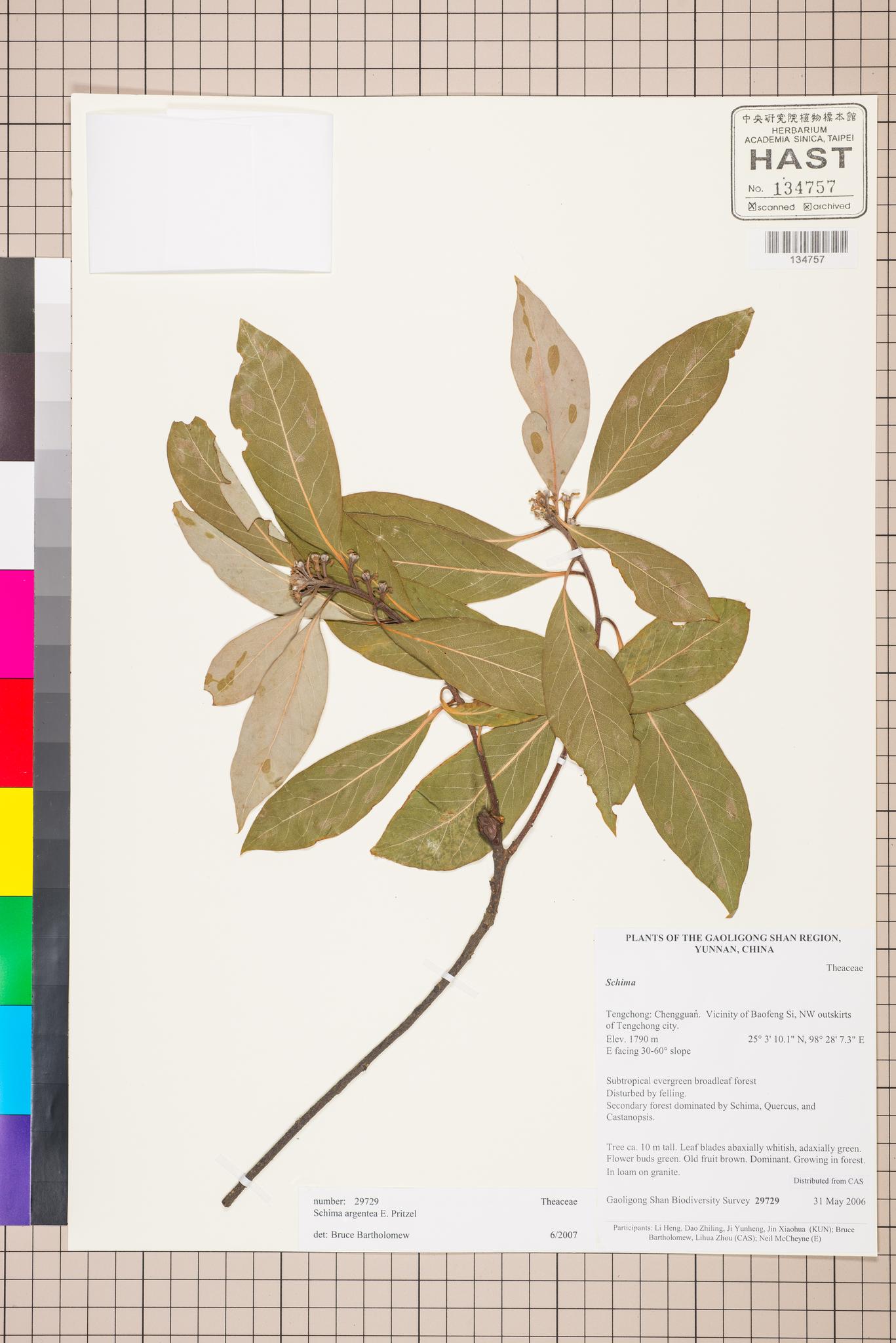 Sample image for viewer