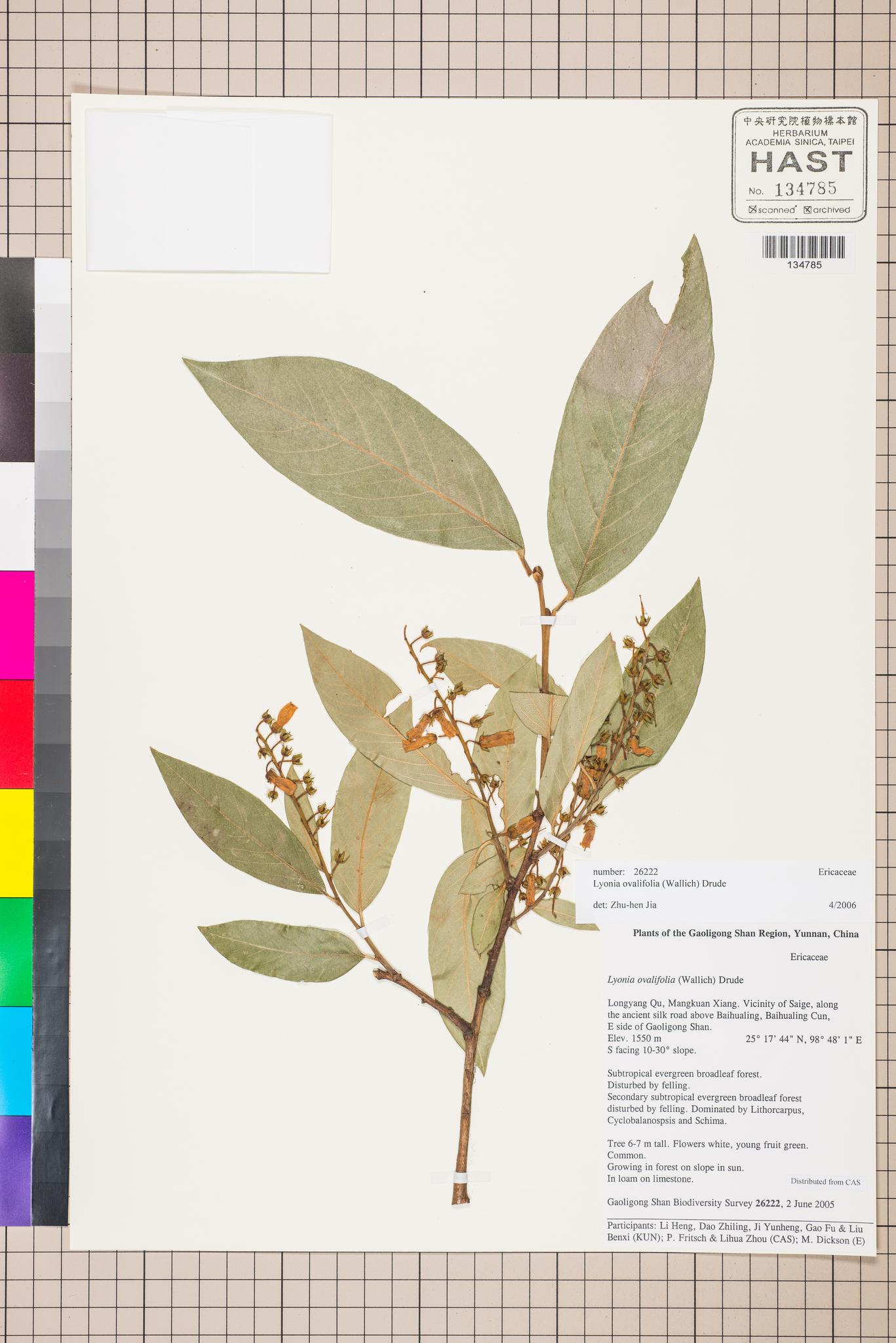 Specimen image
