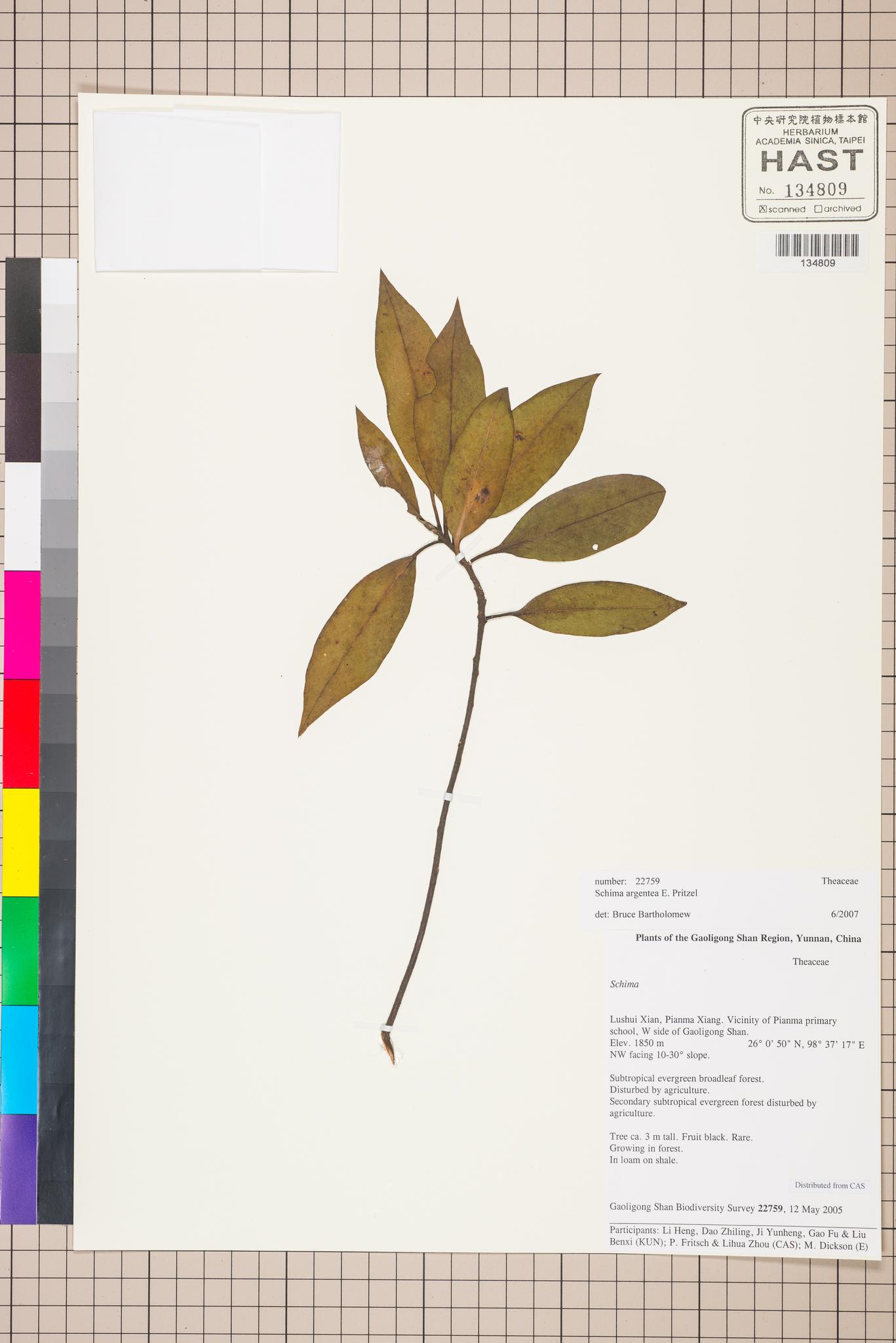 Sample image for viewer