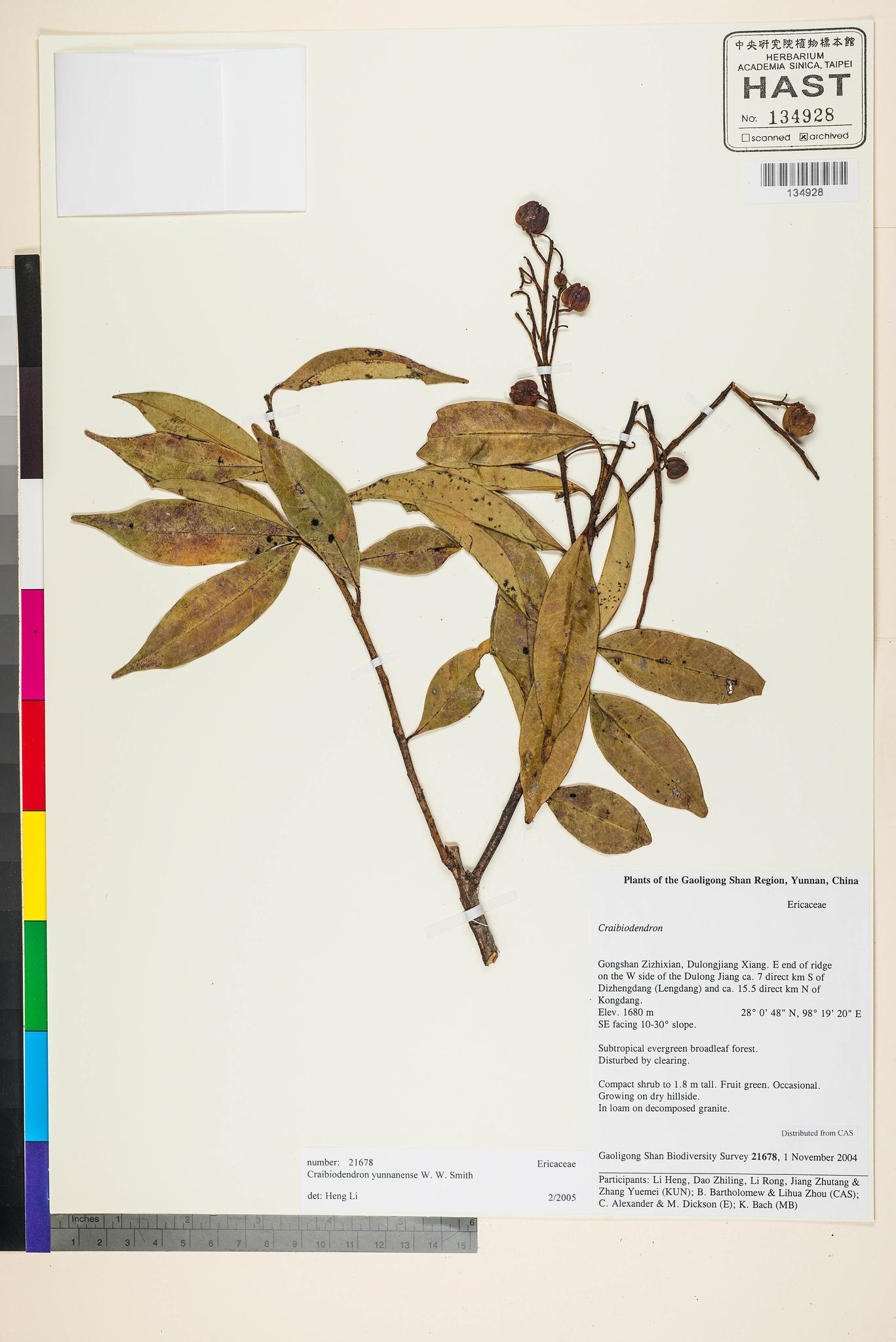 Sample image for viewer