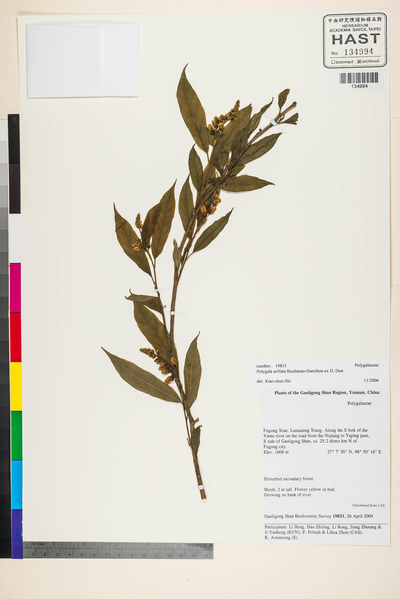 Sample image for viewer