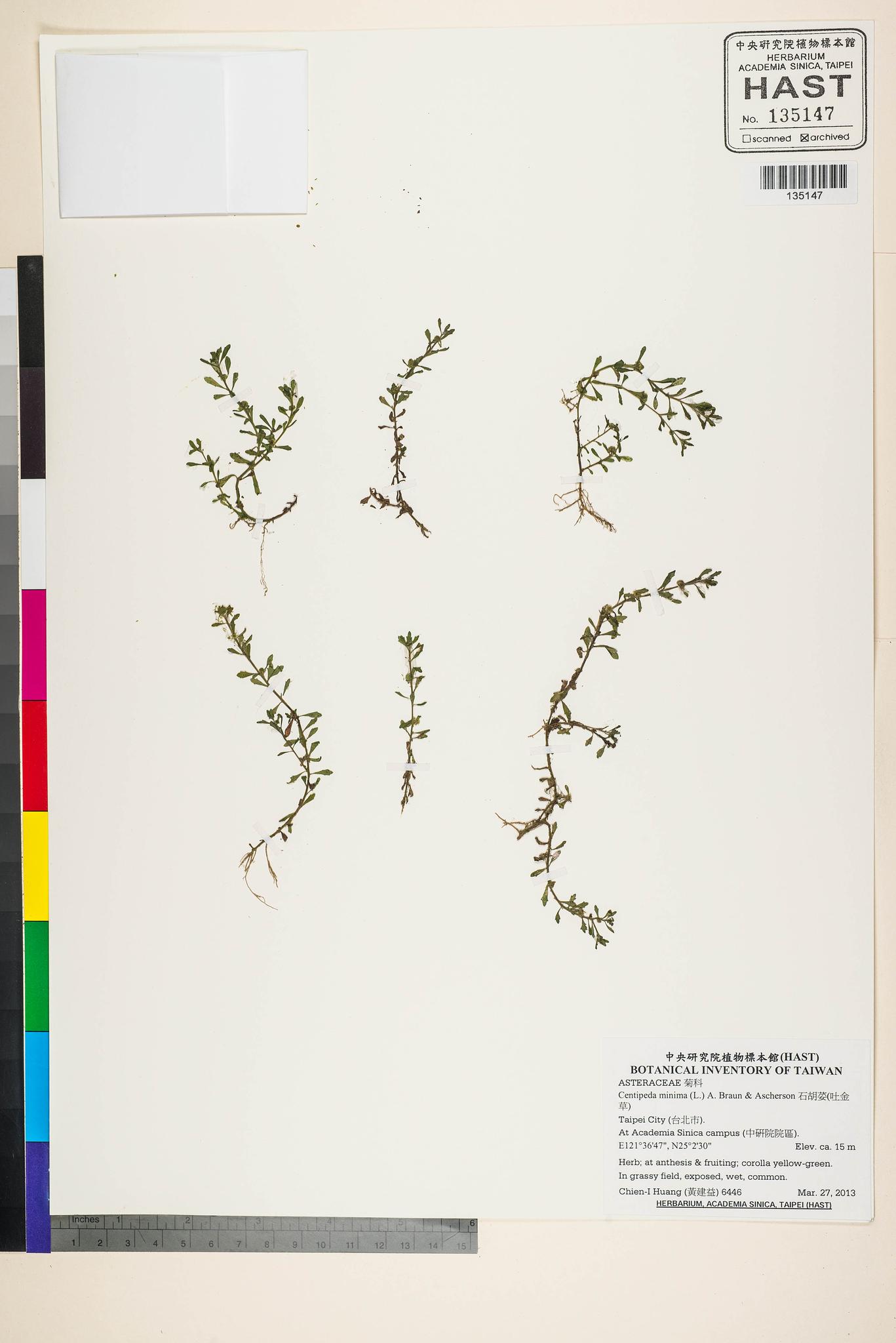 Sample image for viewer