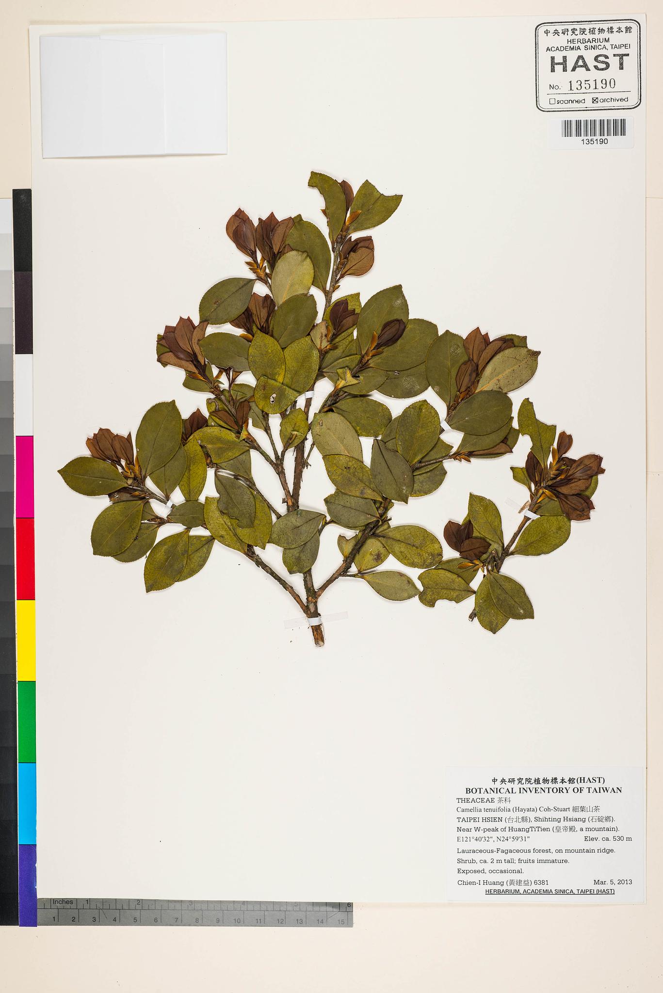 Sample image for viewer