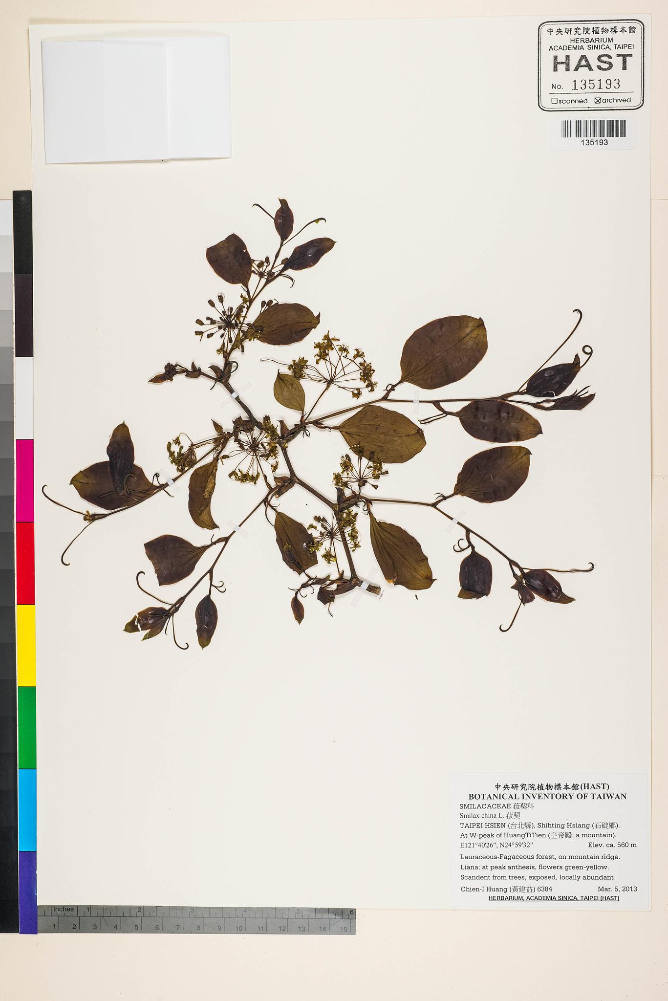 Sample image for viewer