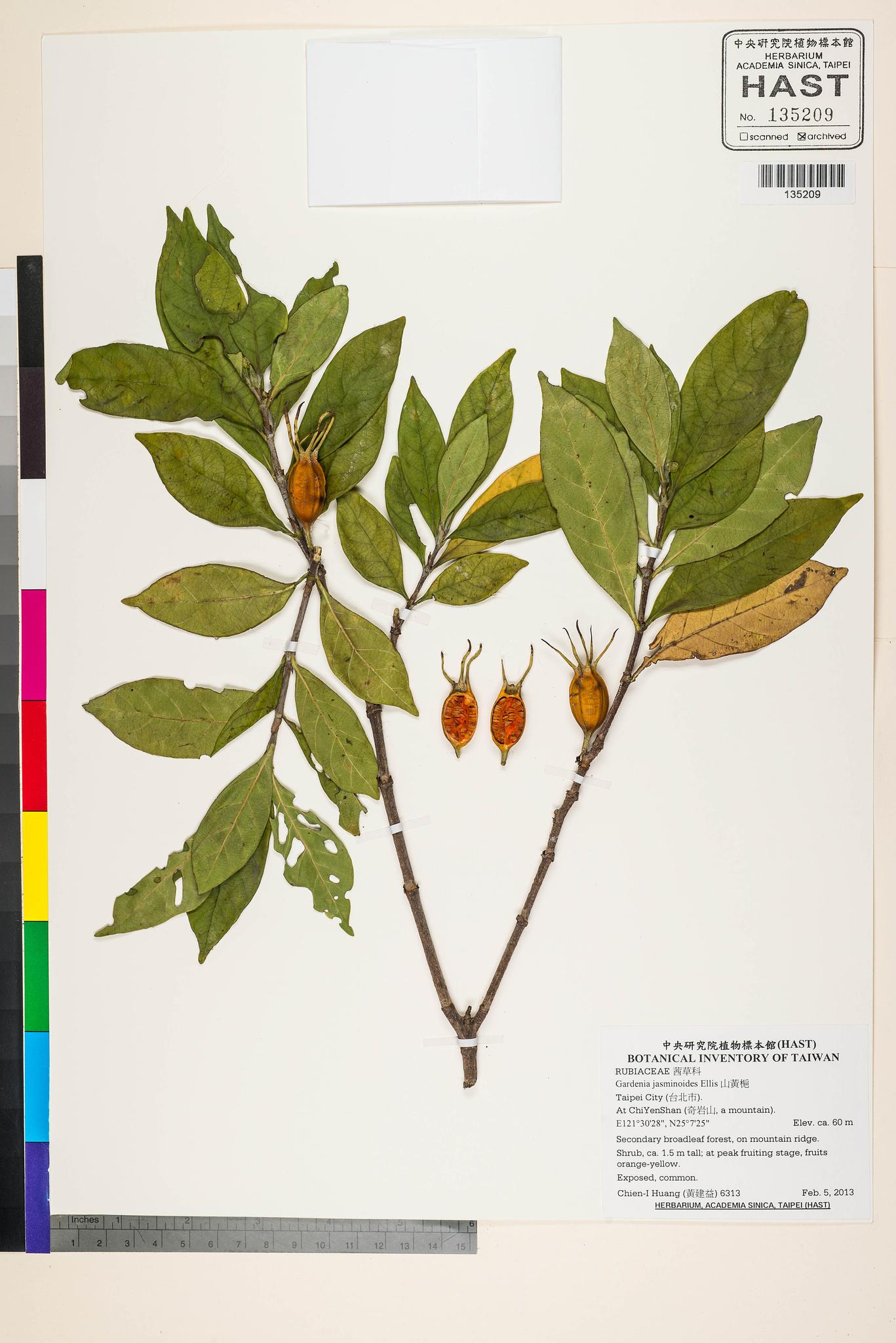 Sample image for viewer