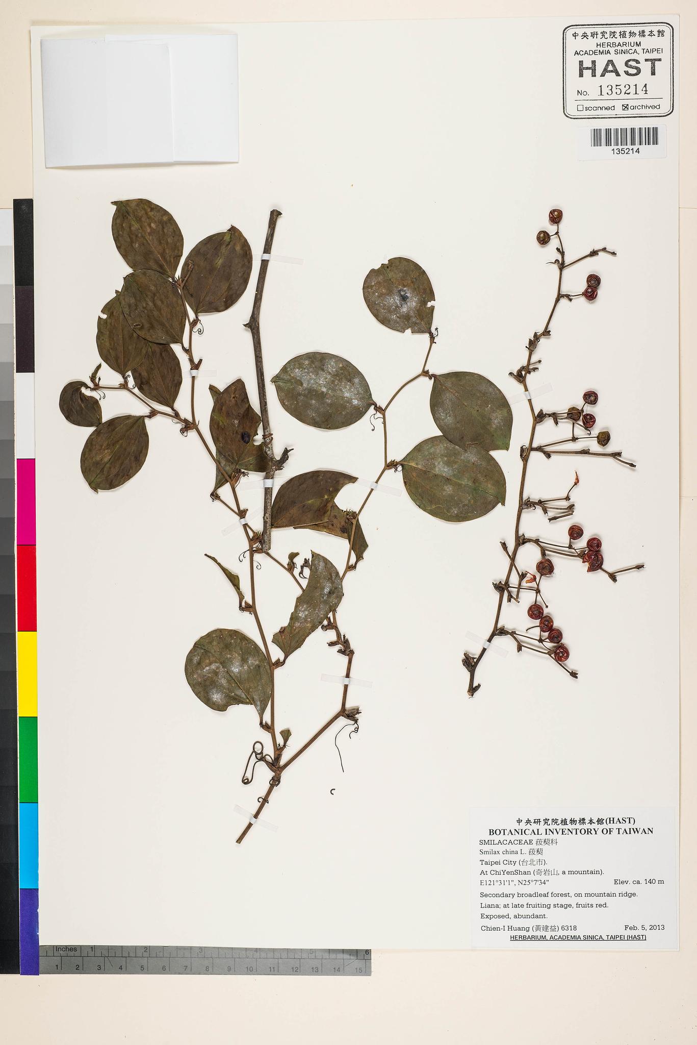 Specimen image
