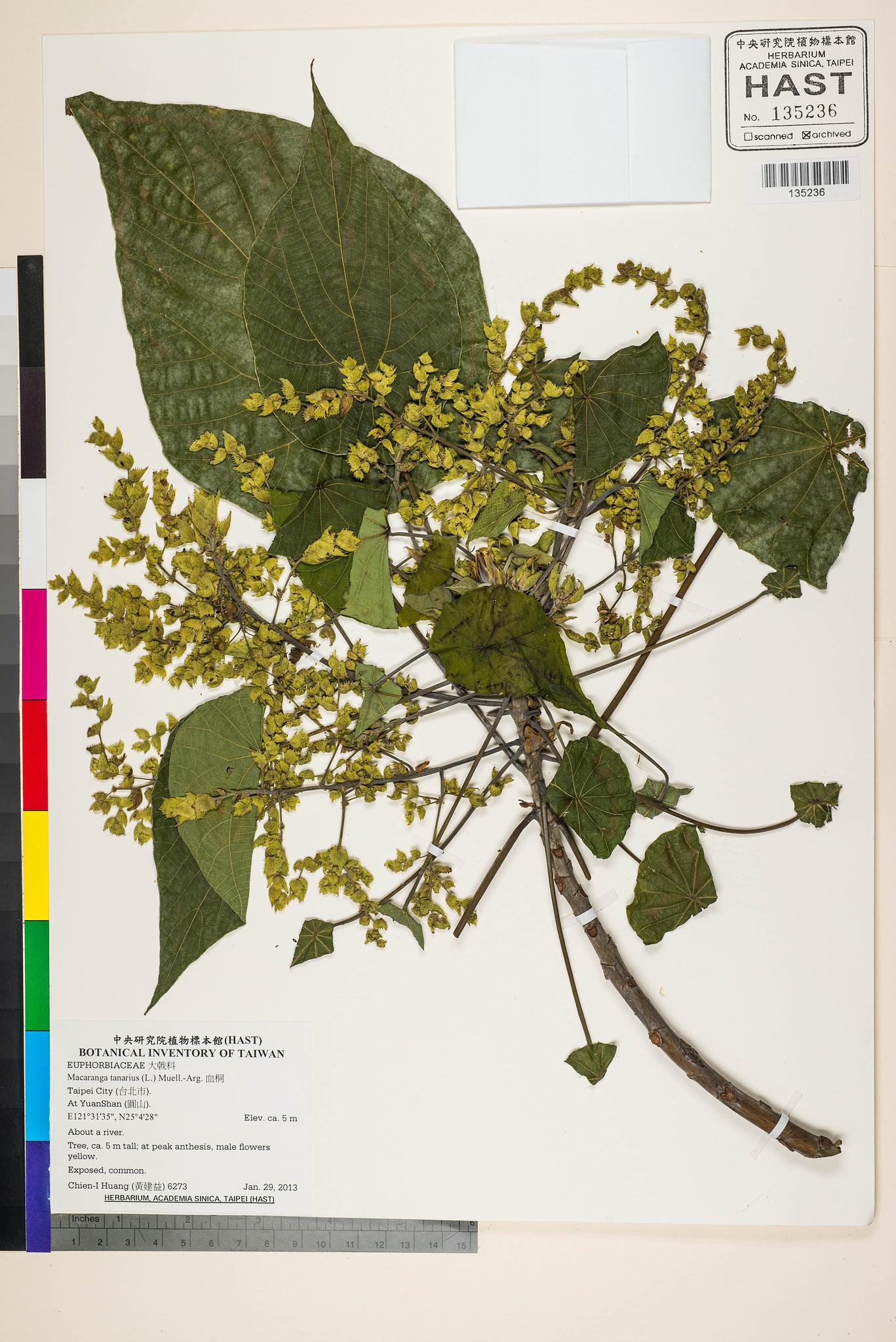 Sample image for viewer