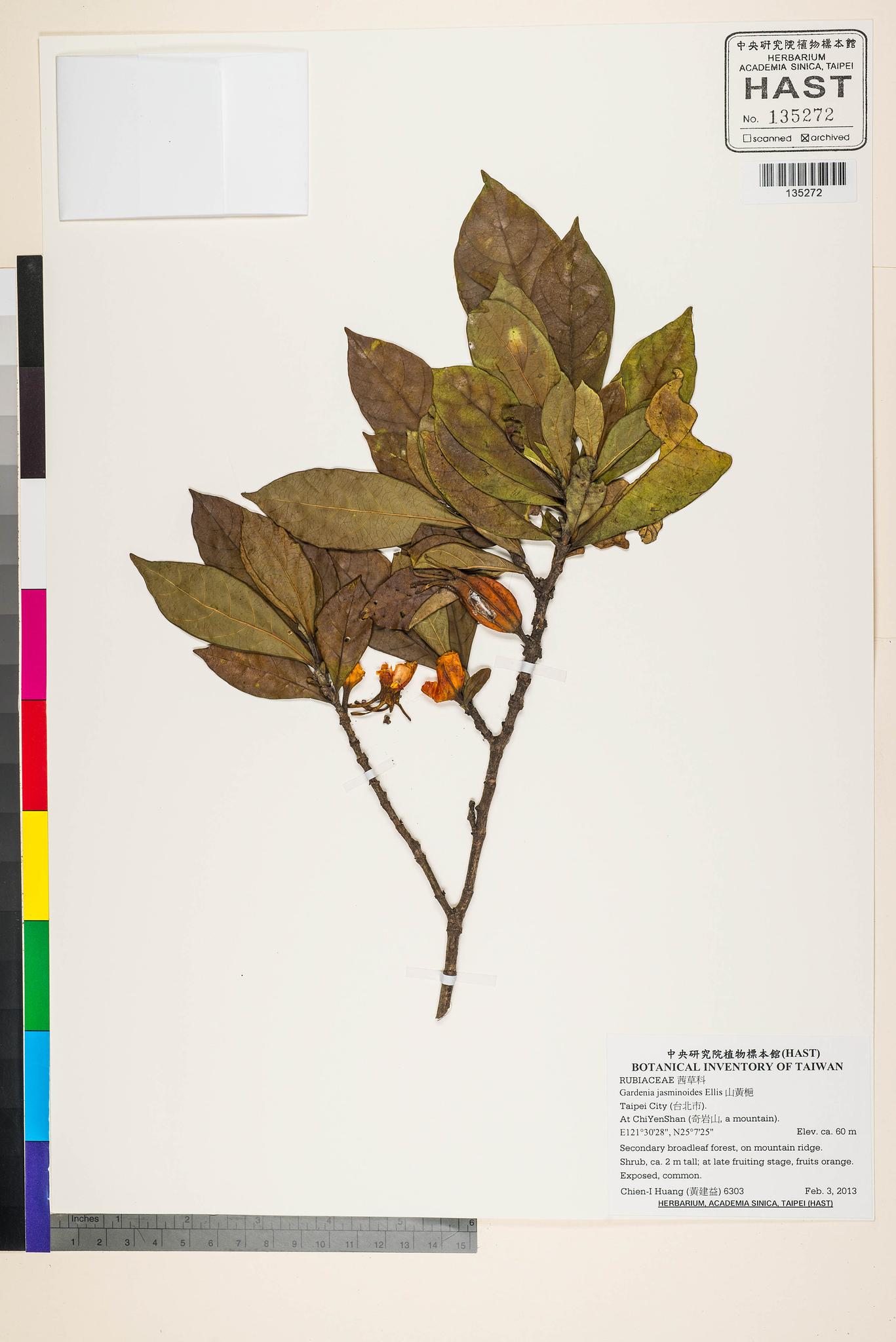 Sample image for viewer