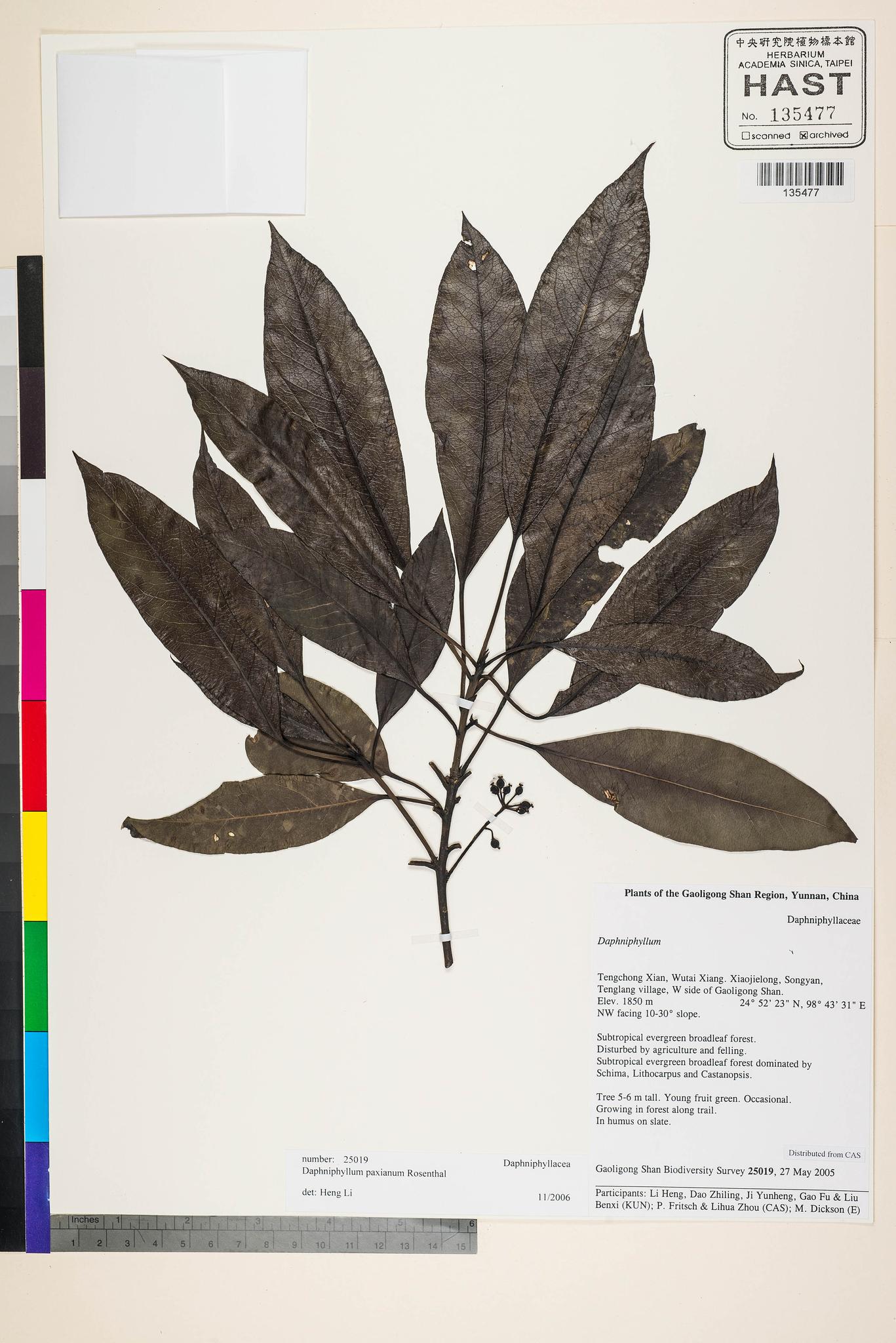 Sample image for viewer