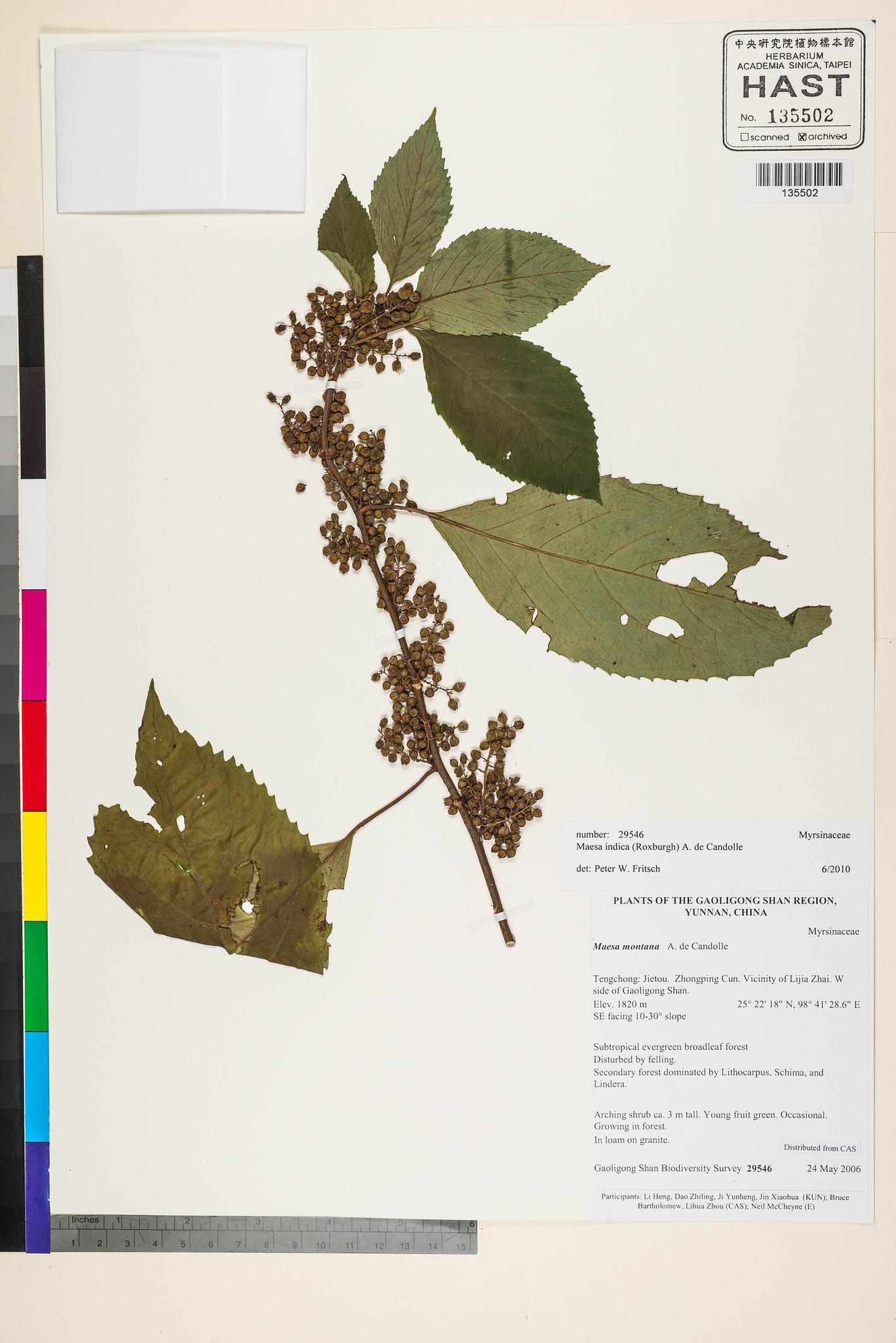 Sample image for viewer