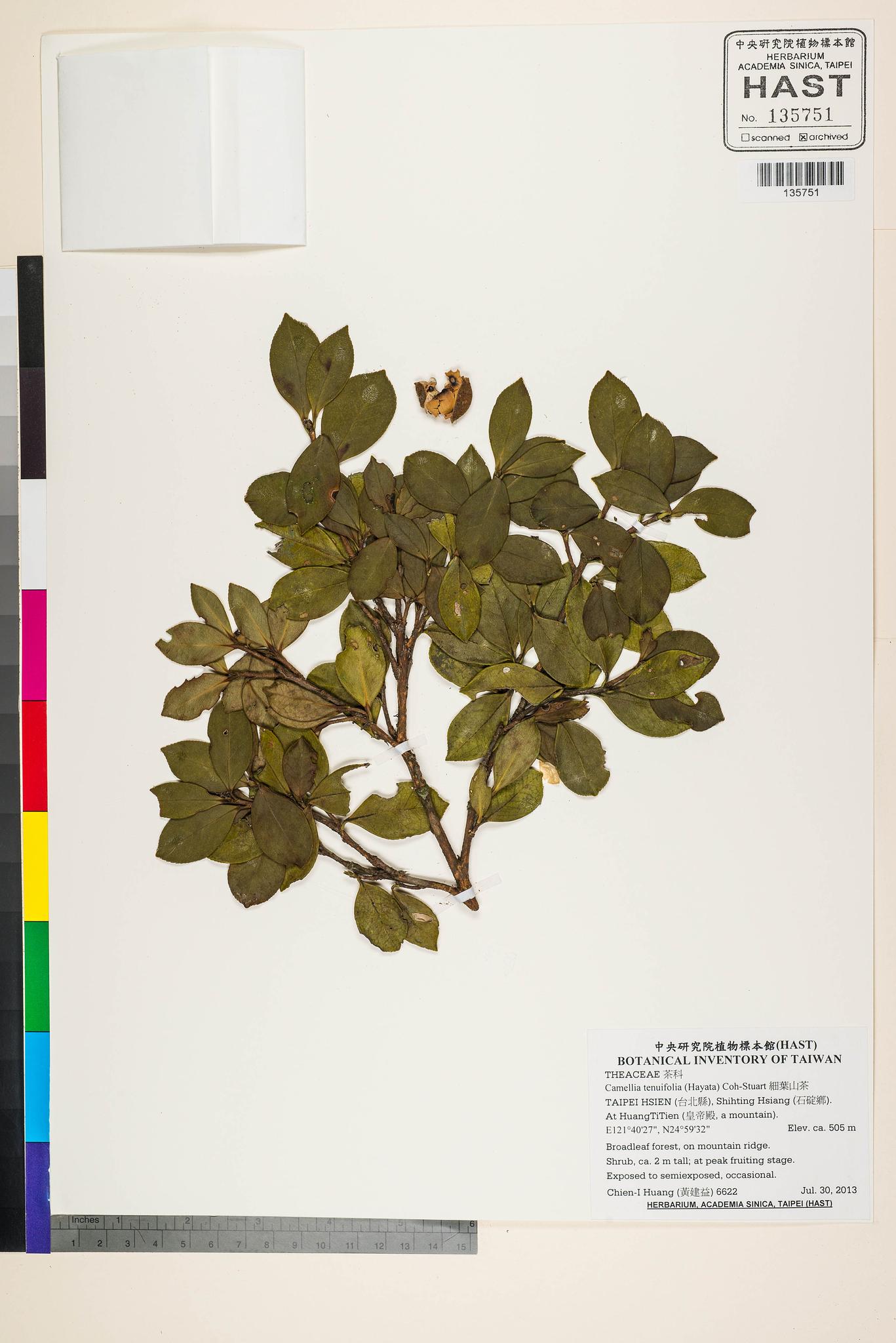 Sample image for viewer