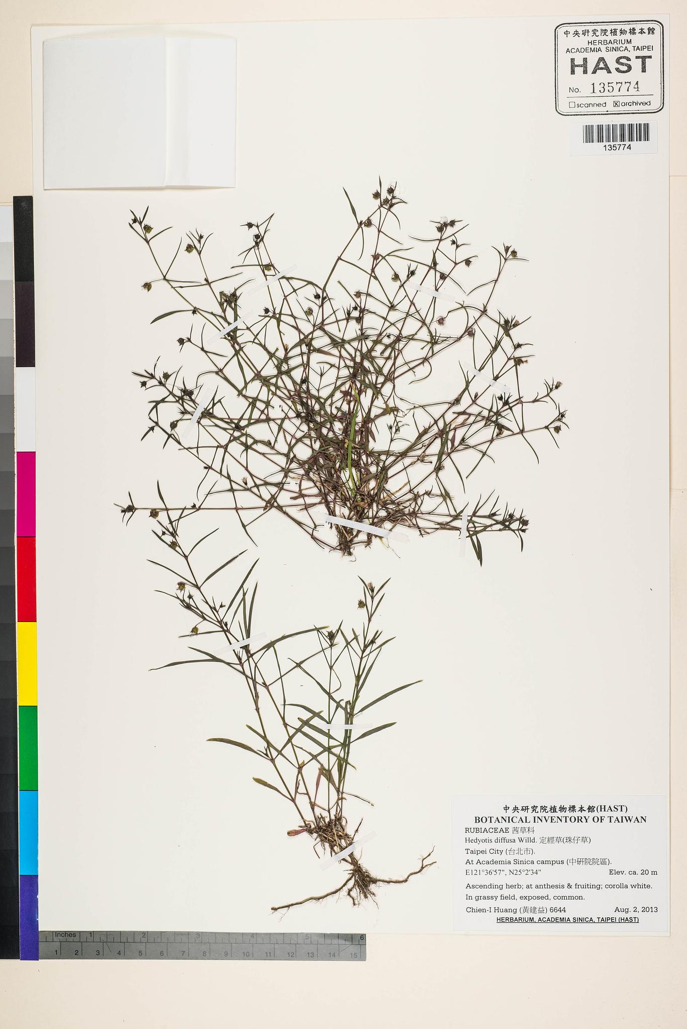 Sample image for viewer