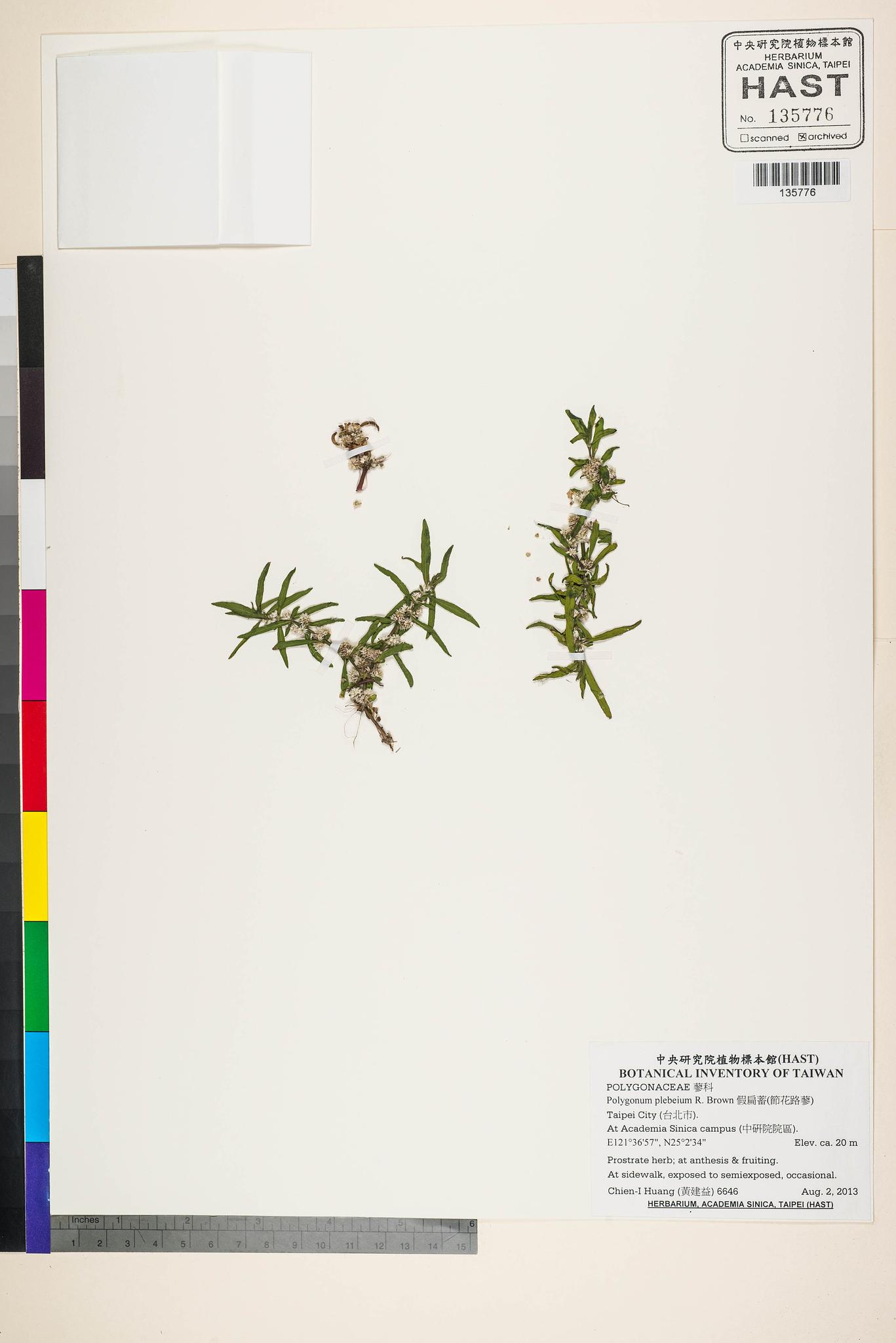 Sample image for viewer