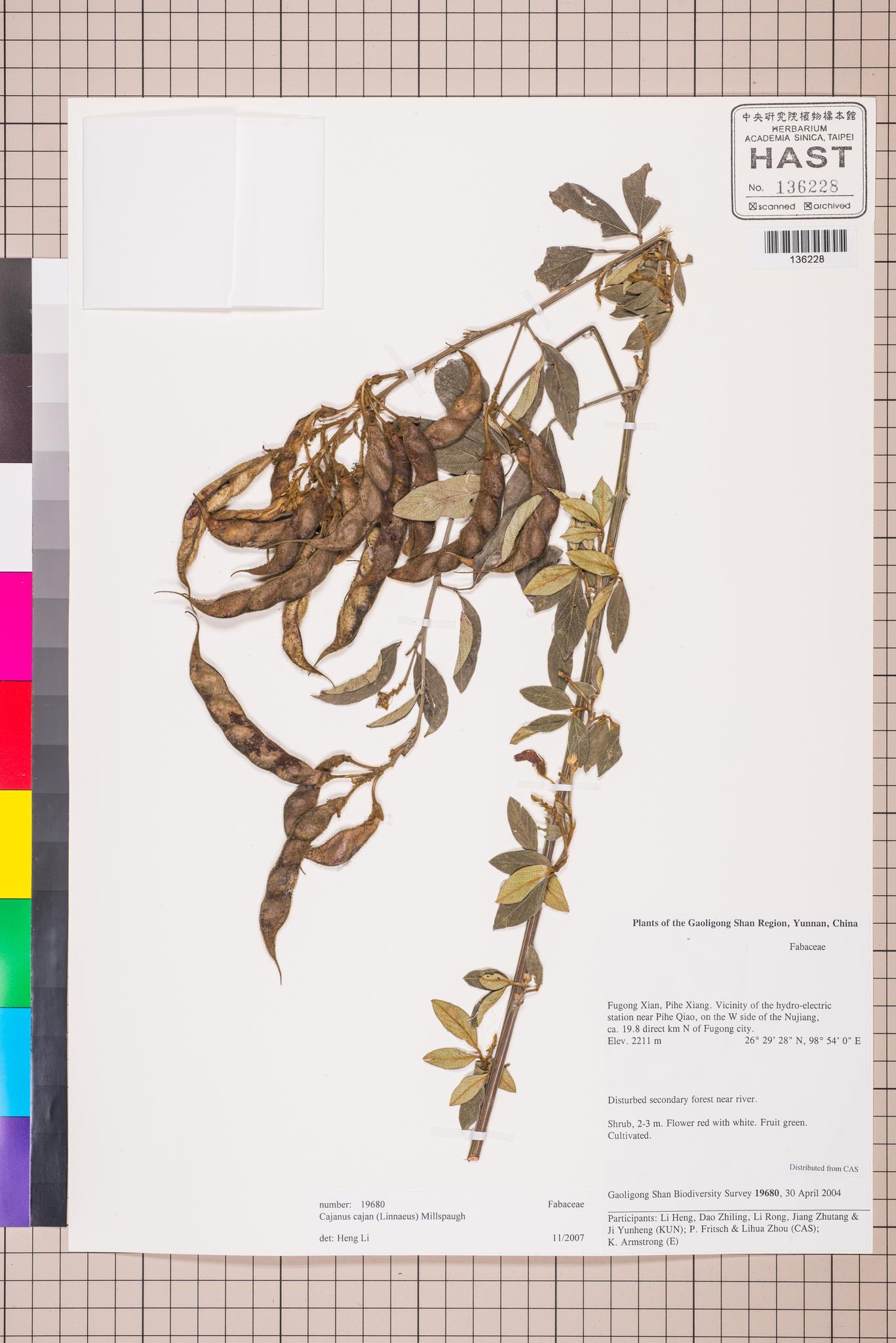 Sample image for viewer