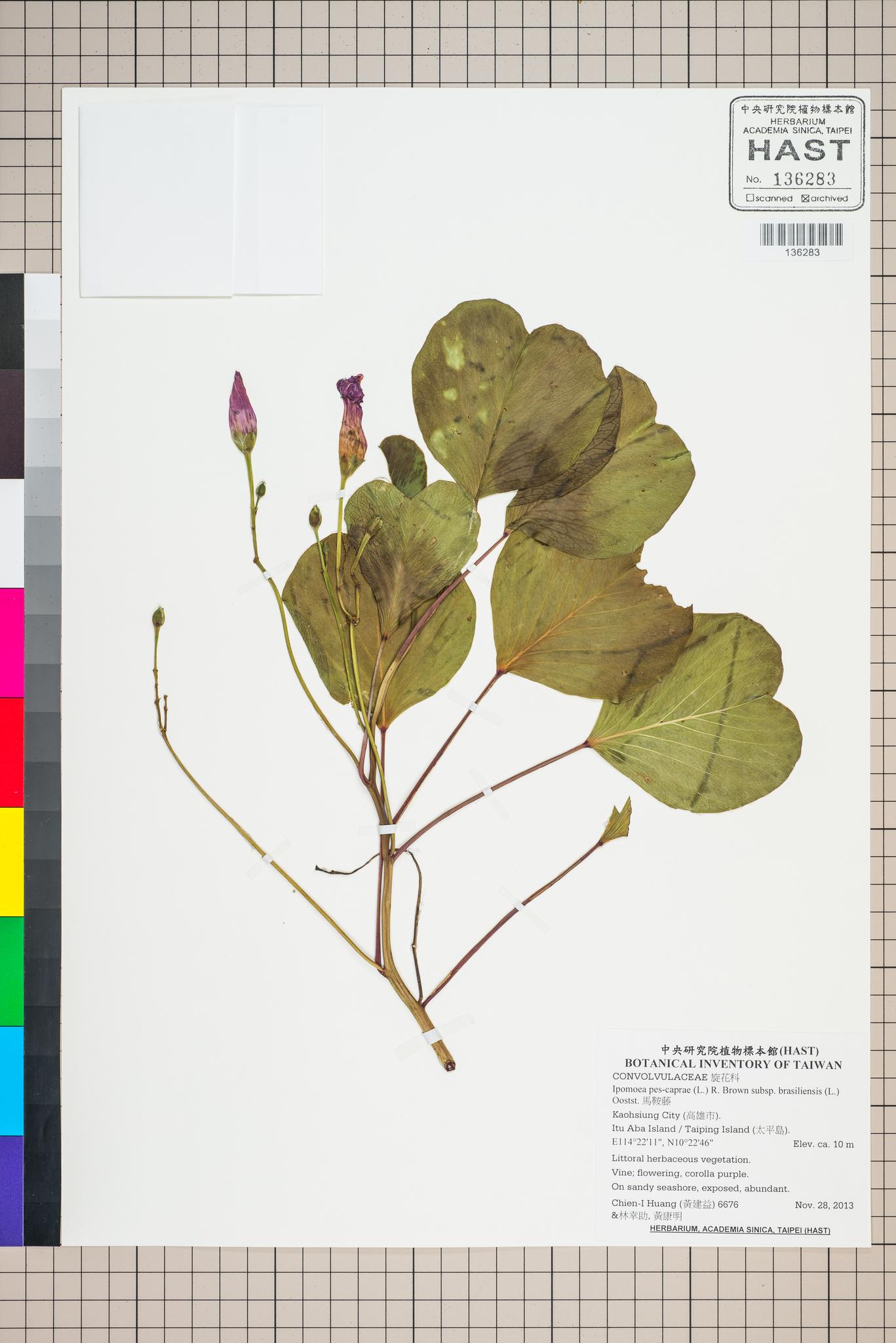 Specimen image