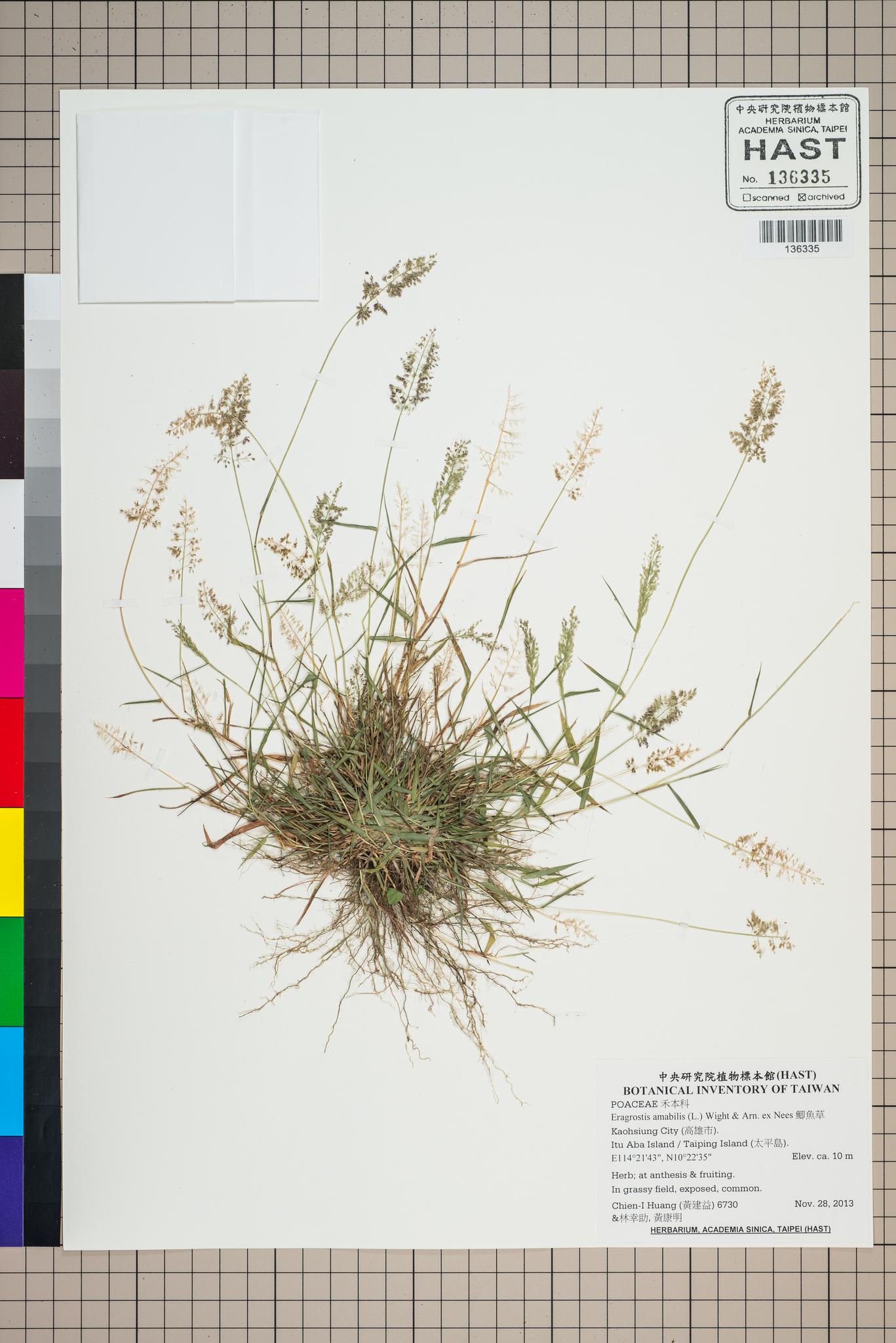 Sample image for viewer