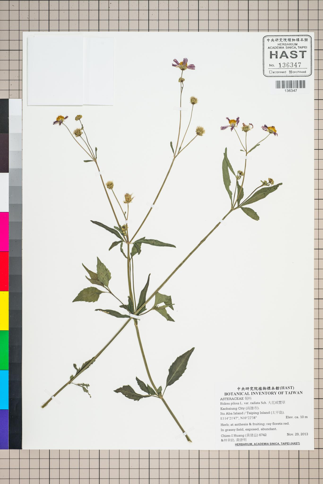 Sample image for viewer