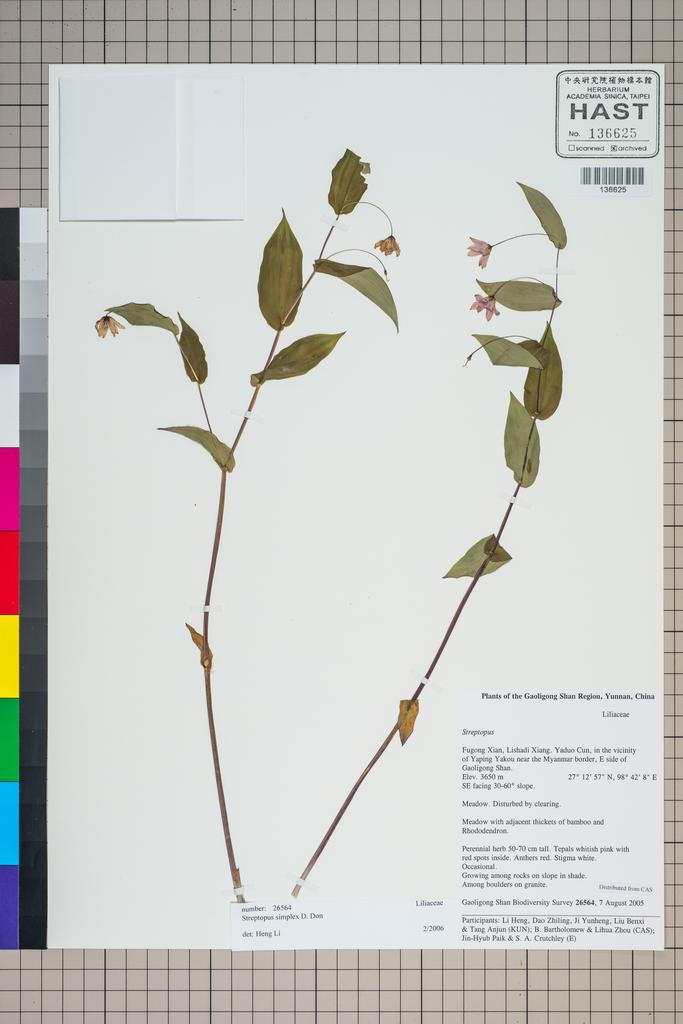 <Unit #124888 Gaoligong Shan Biodiversity Survey | 26564:: | Streptopus simplex D. Don>