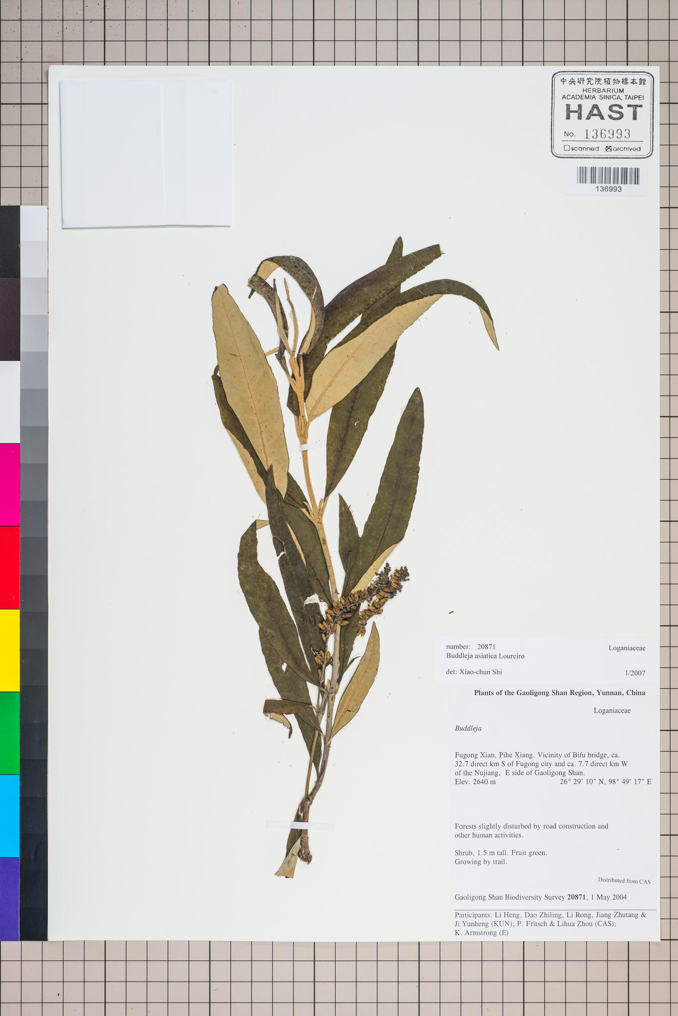 Sample image for viewer