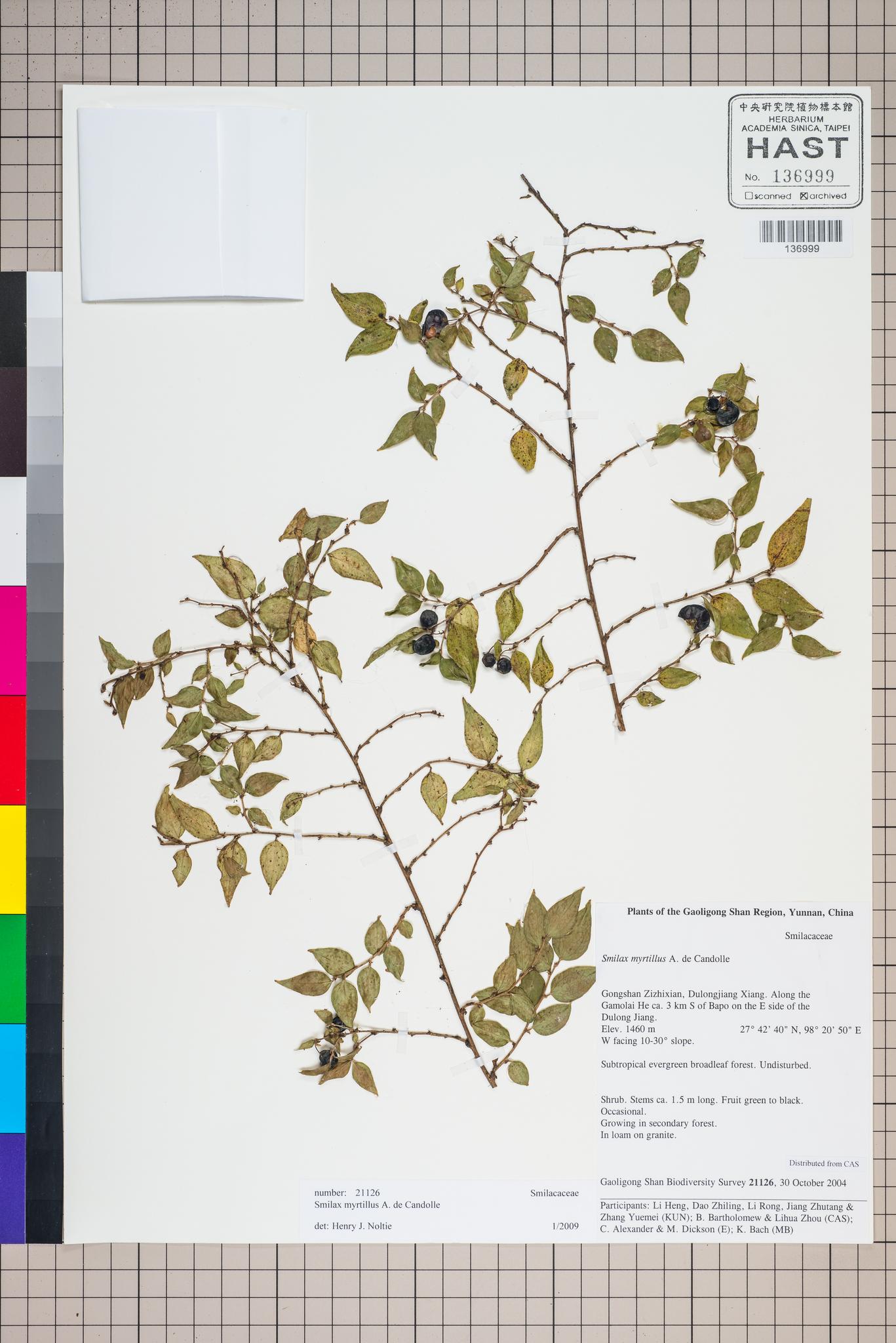 Sample image for viewer