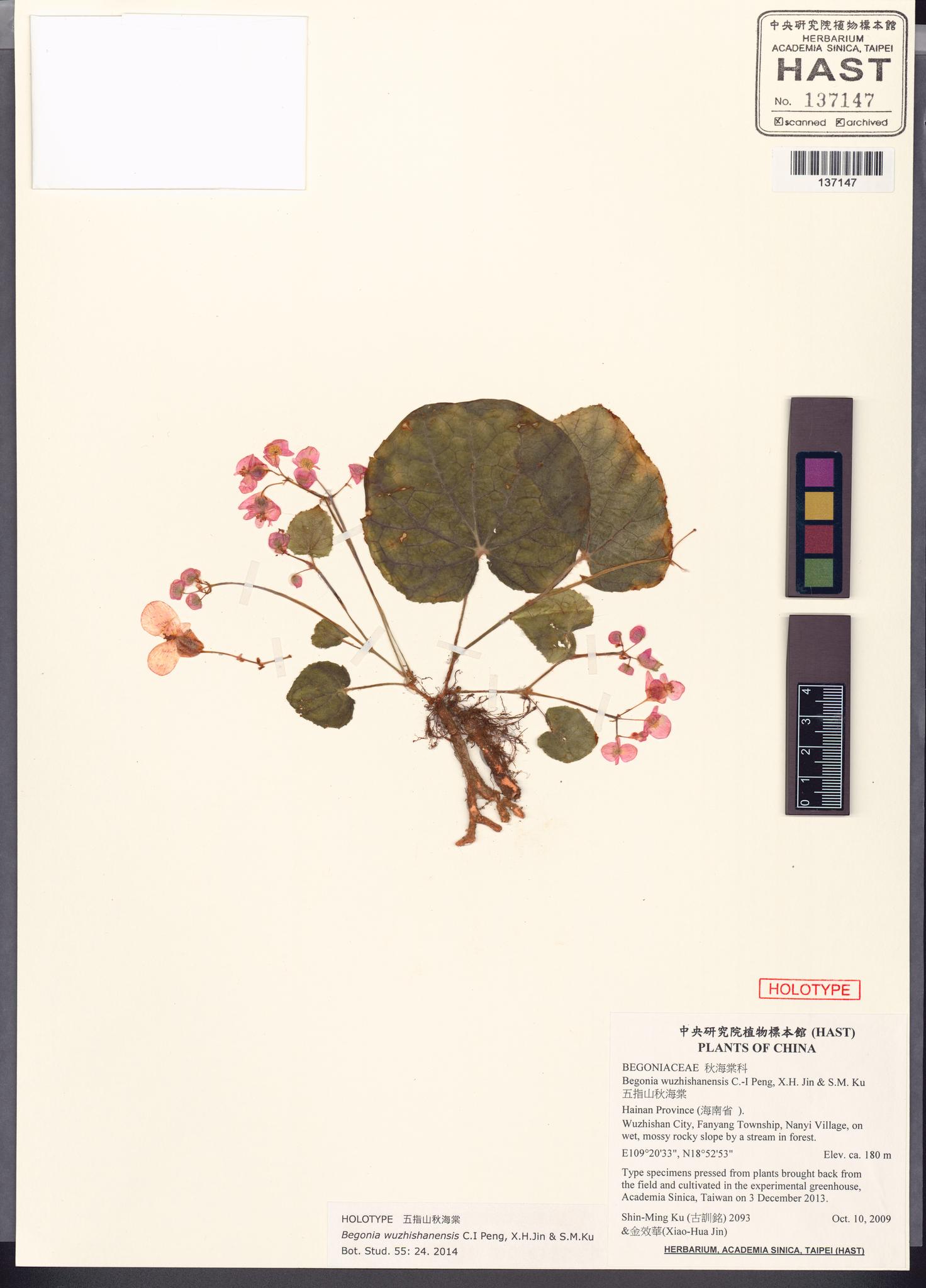 Sample image for viewer