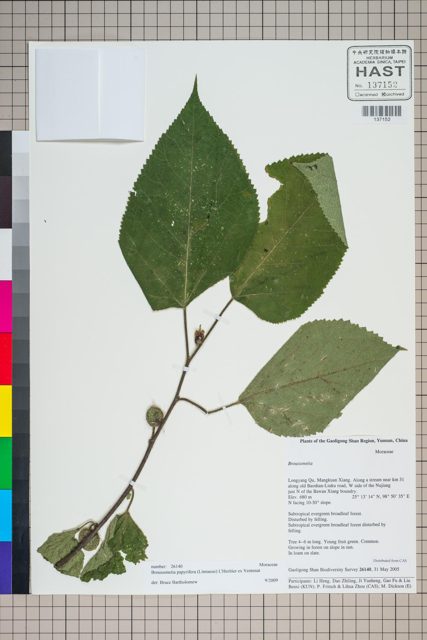 Sample image for viewer