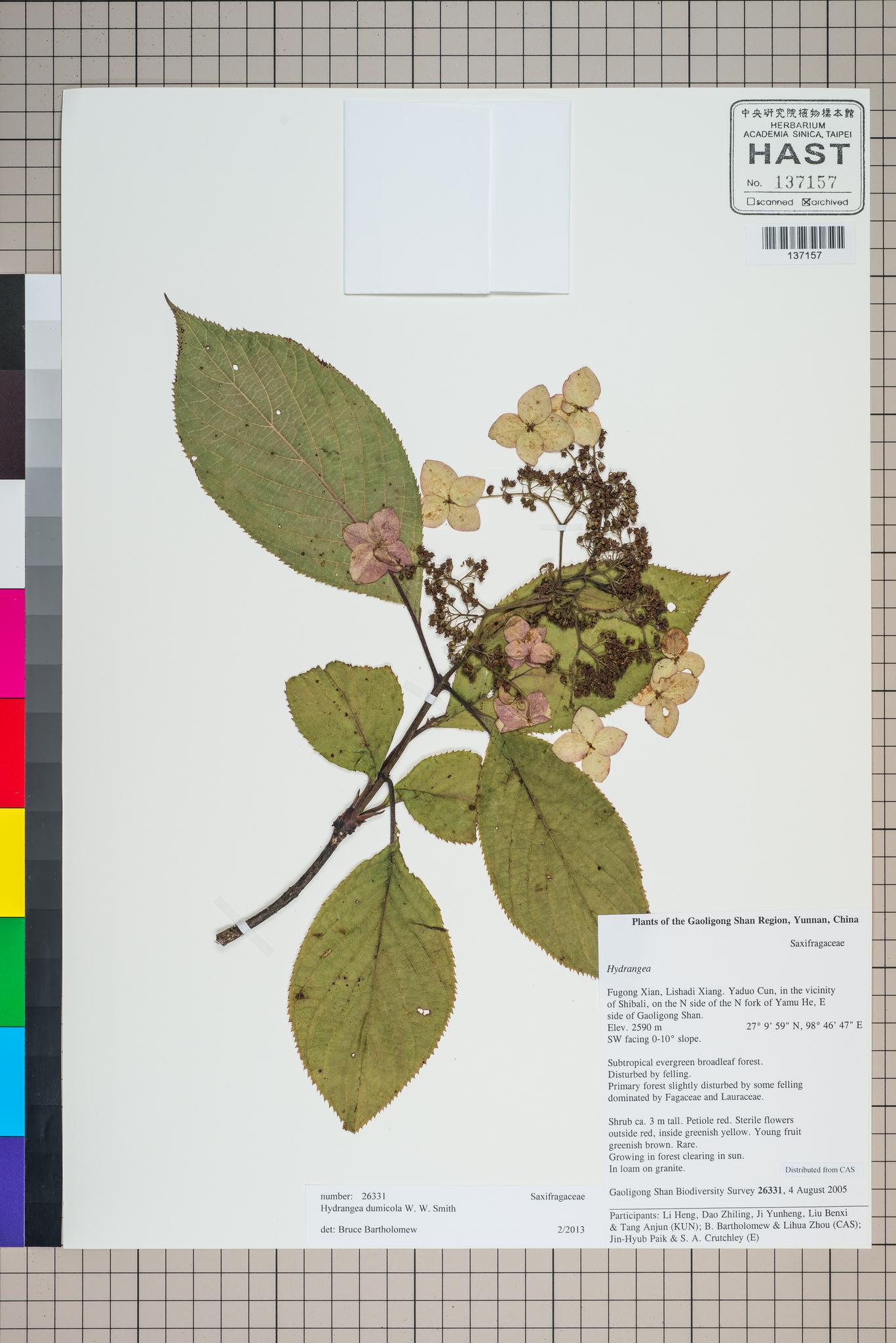 Sample image for viewer