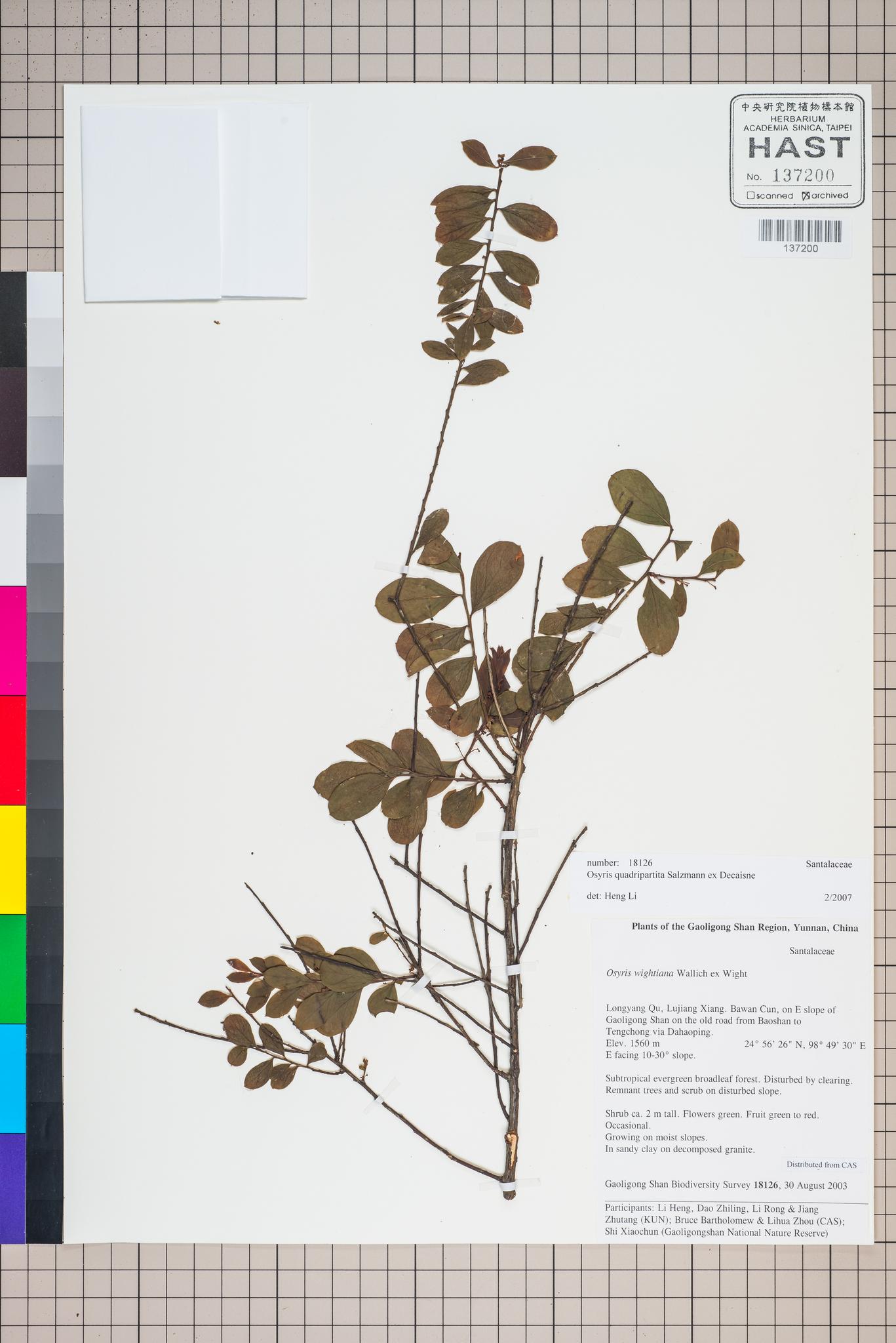 Sample image for viewer