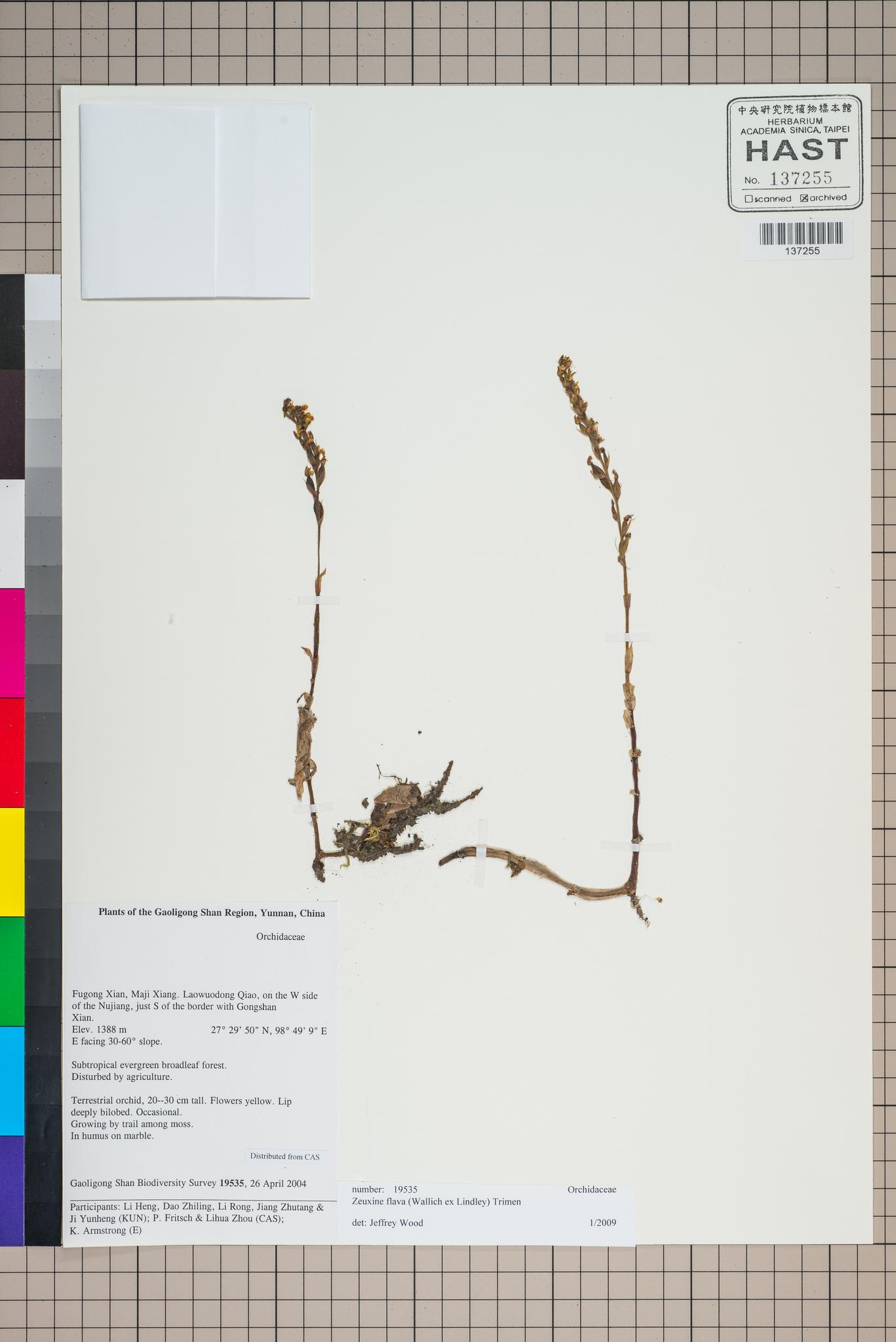 Sample image for viewer