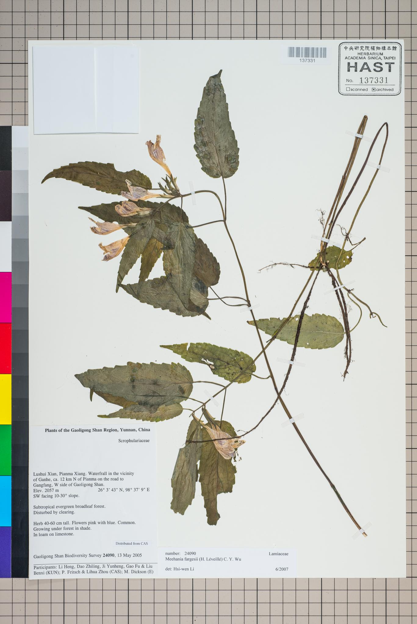 Sample image for viewer