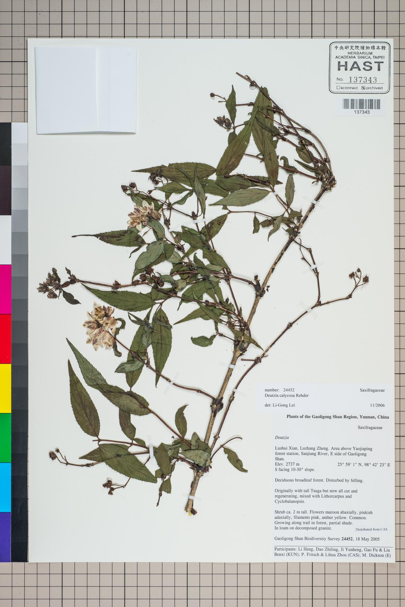 Sample image for viewer