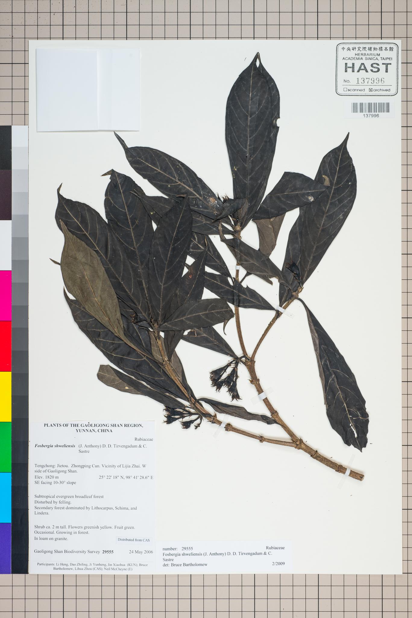 Sample image for viewer