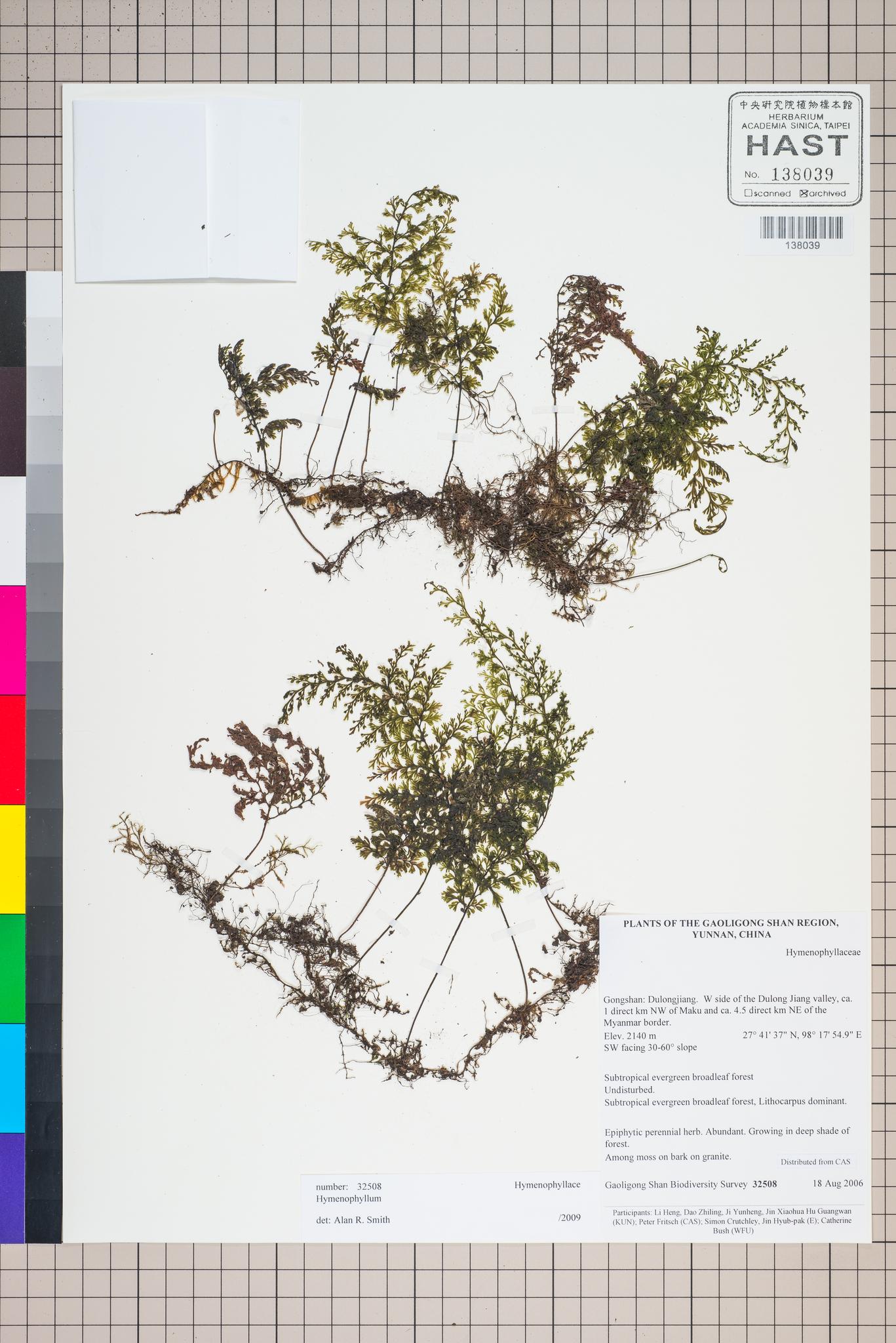 Sample image for viewer