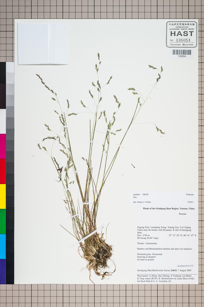 <Unit #126798 Gaoligong Shan Biodiversity Survey | 26618:: | Poa>