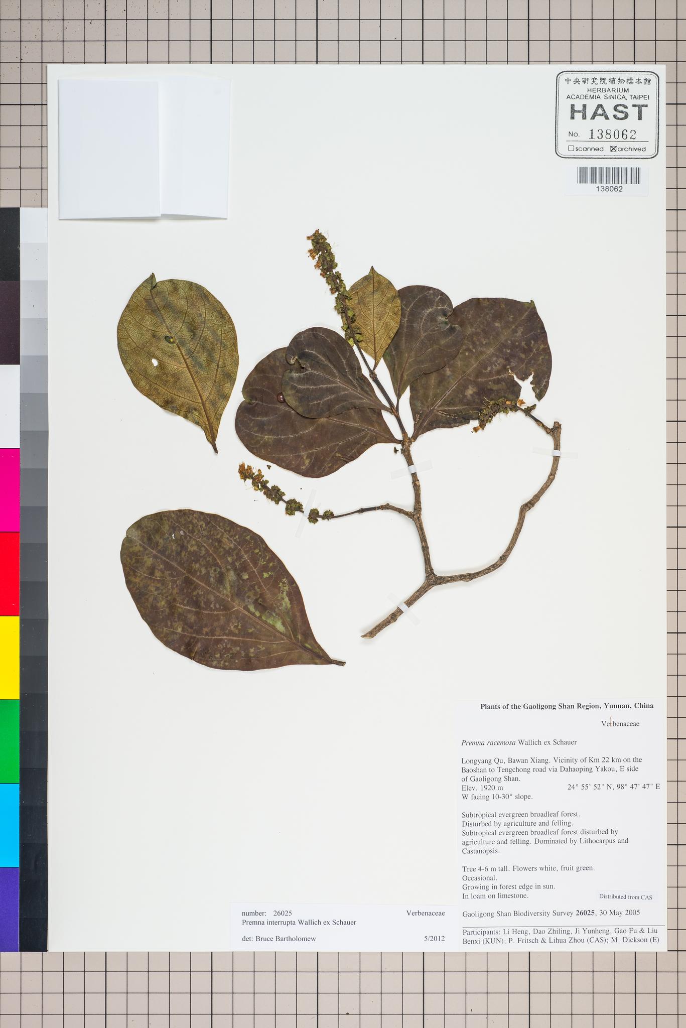 Sample image for viewer