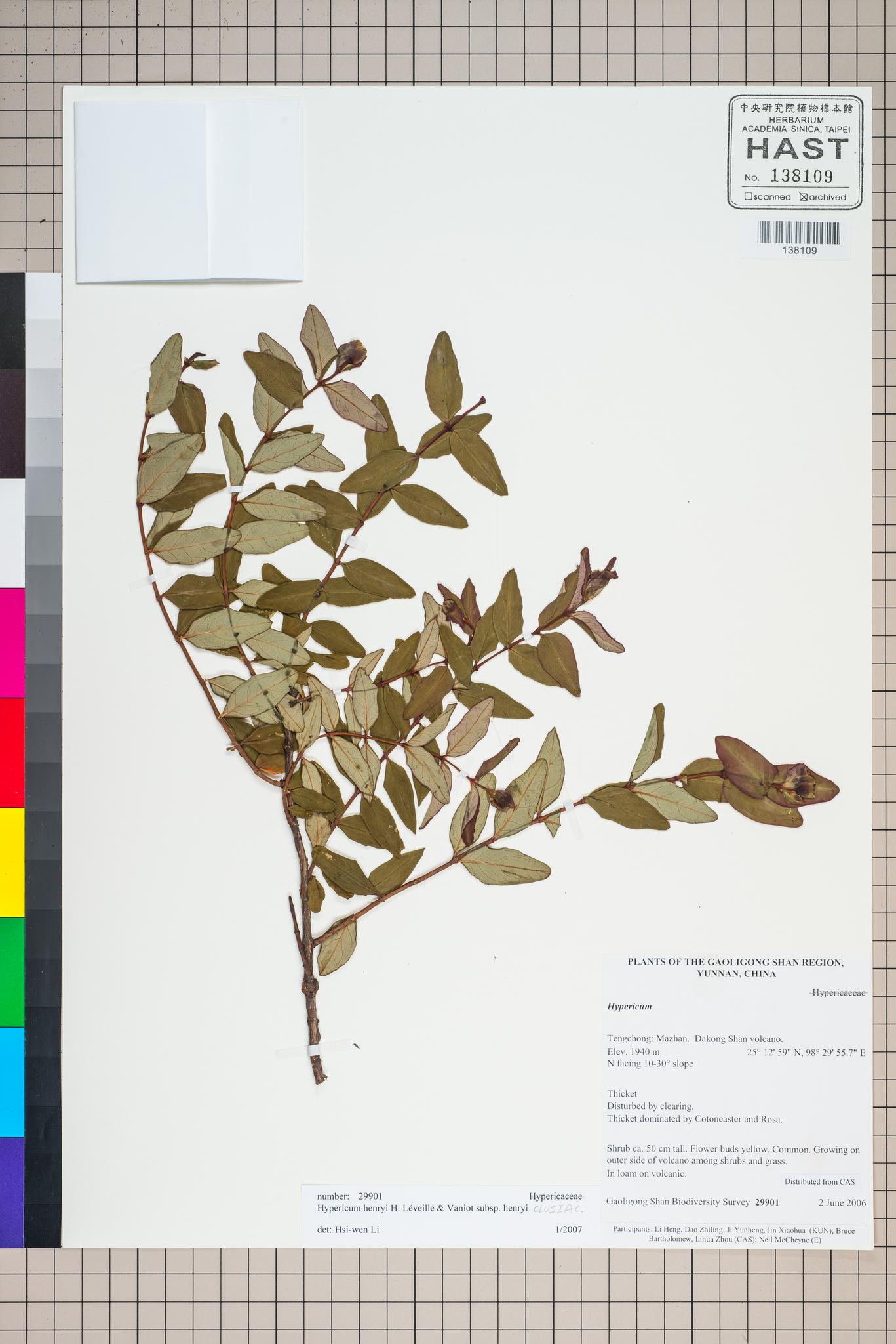 Sample image for viewer