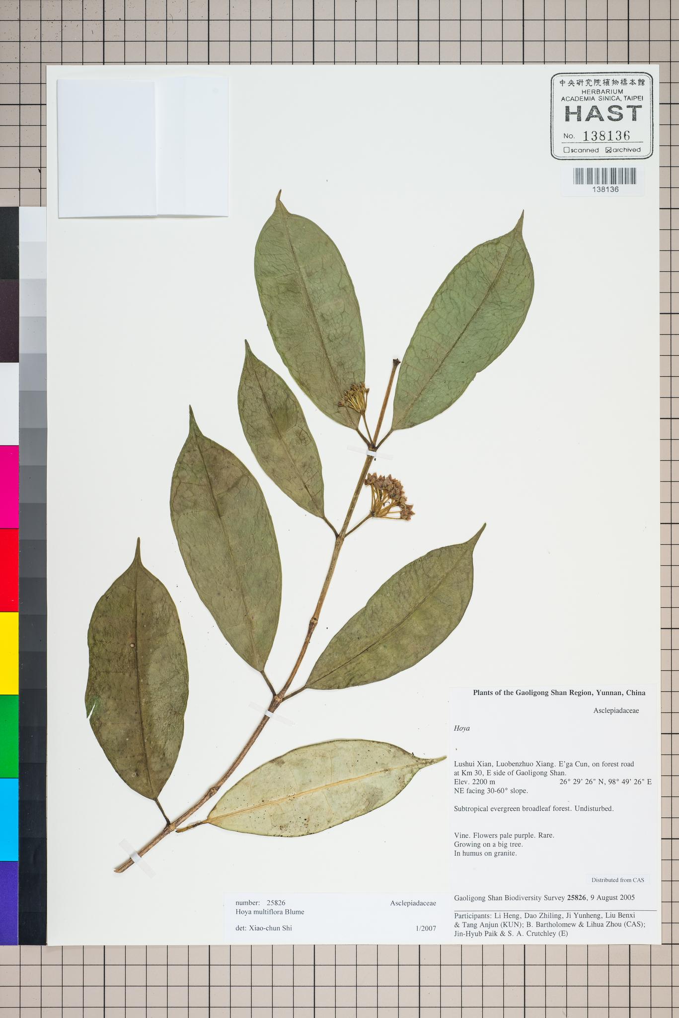 Sample image for viewer