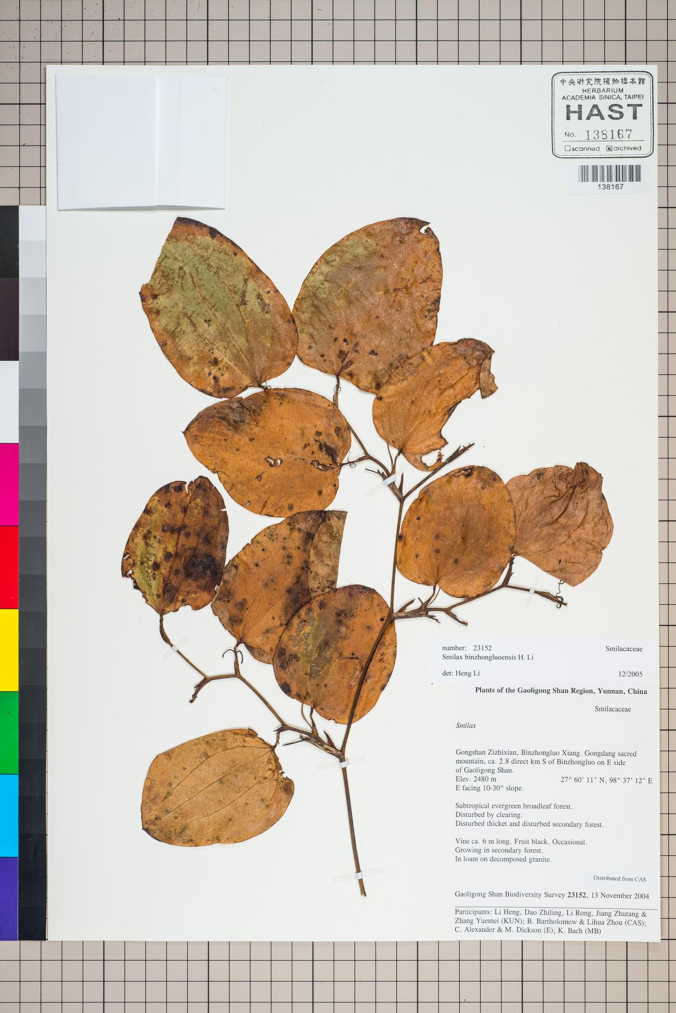 Sample image for viewer