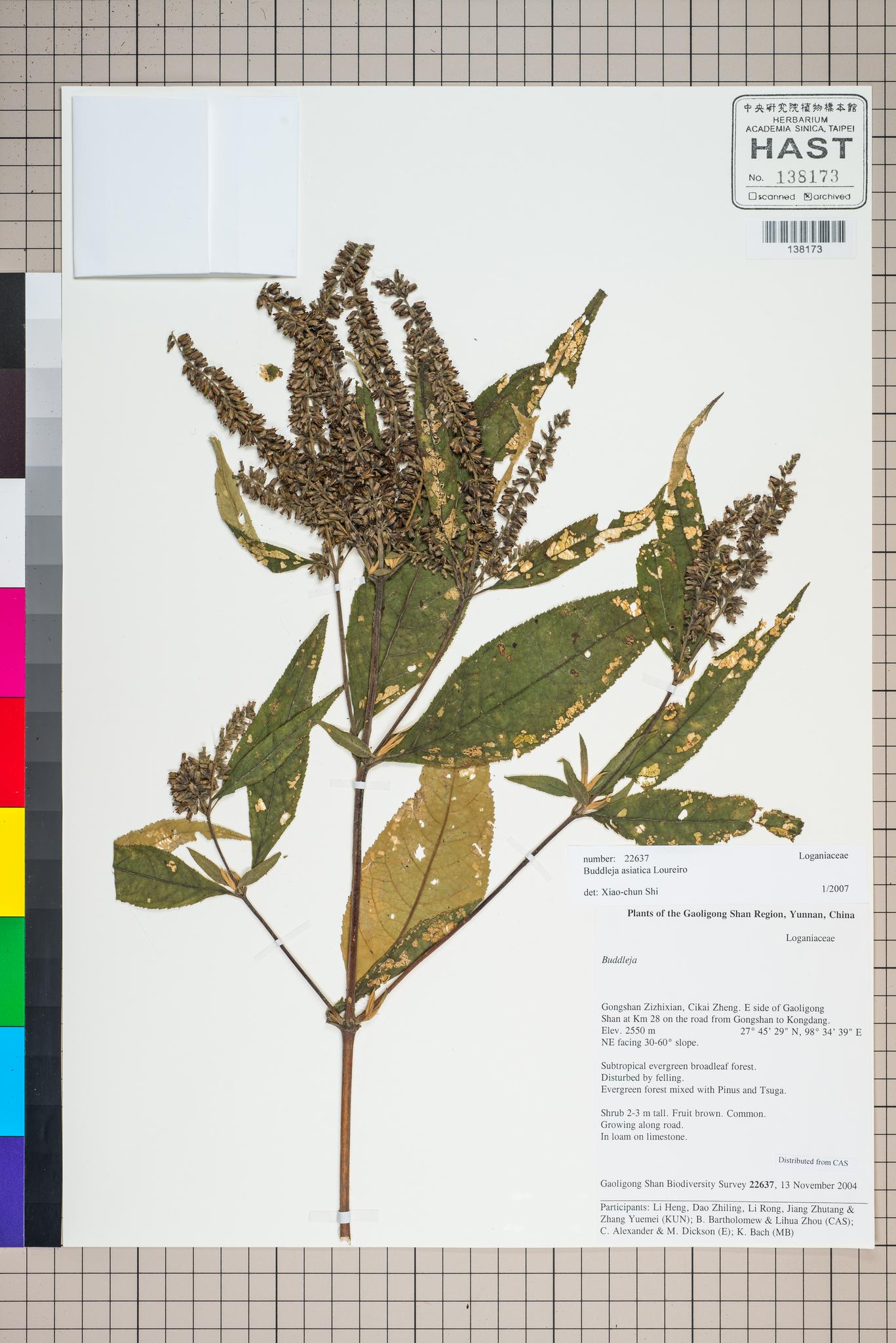 Sample image for viewer