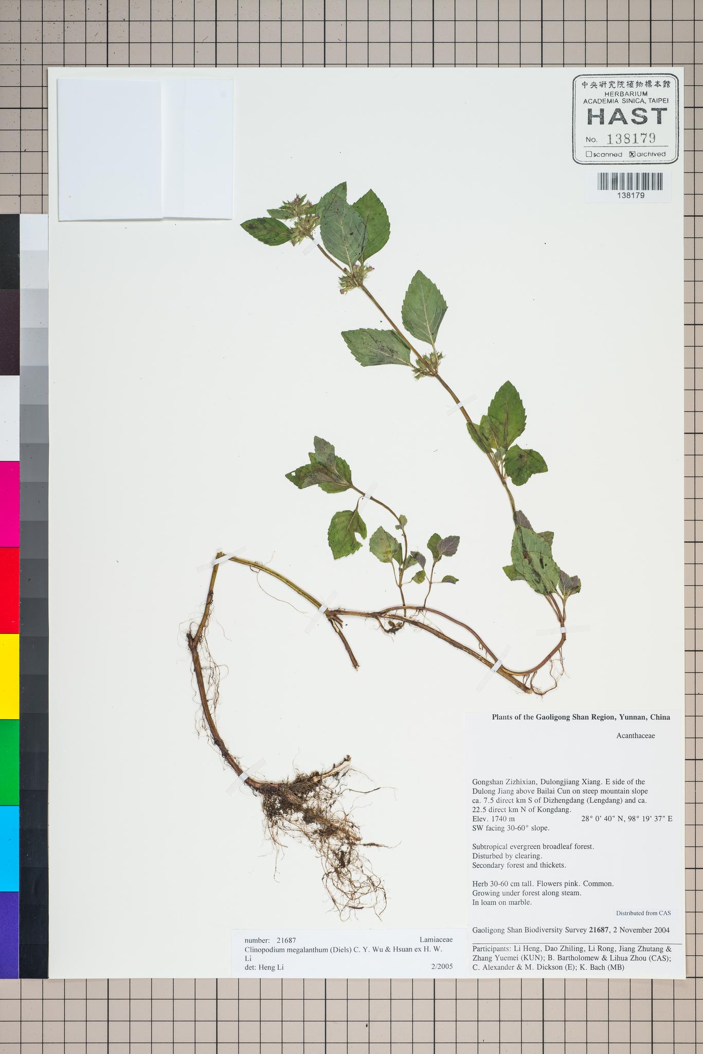 Sample image for viewer