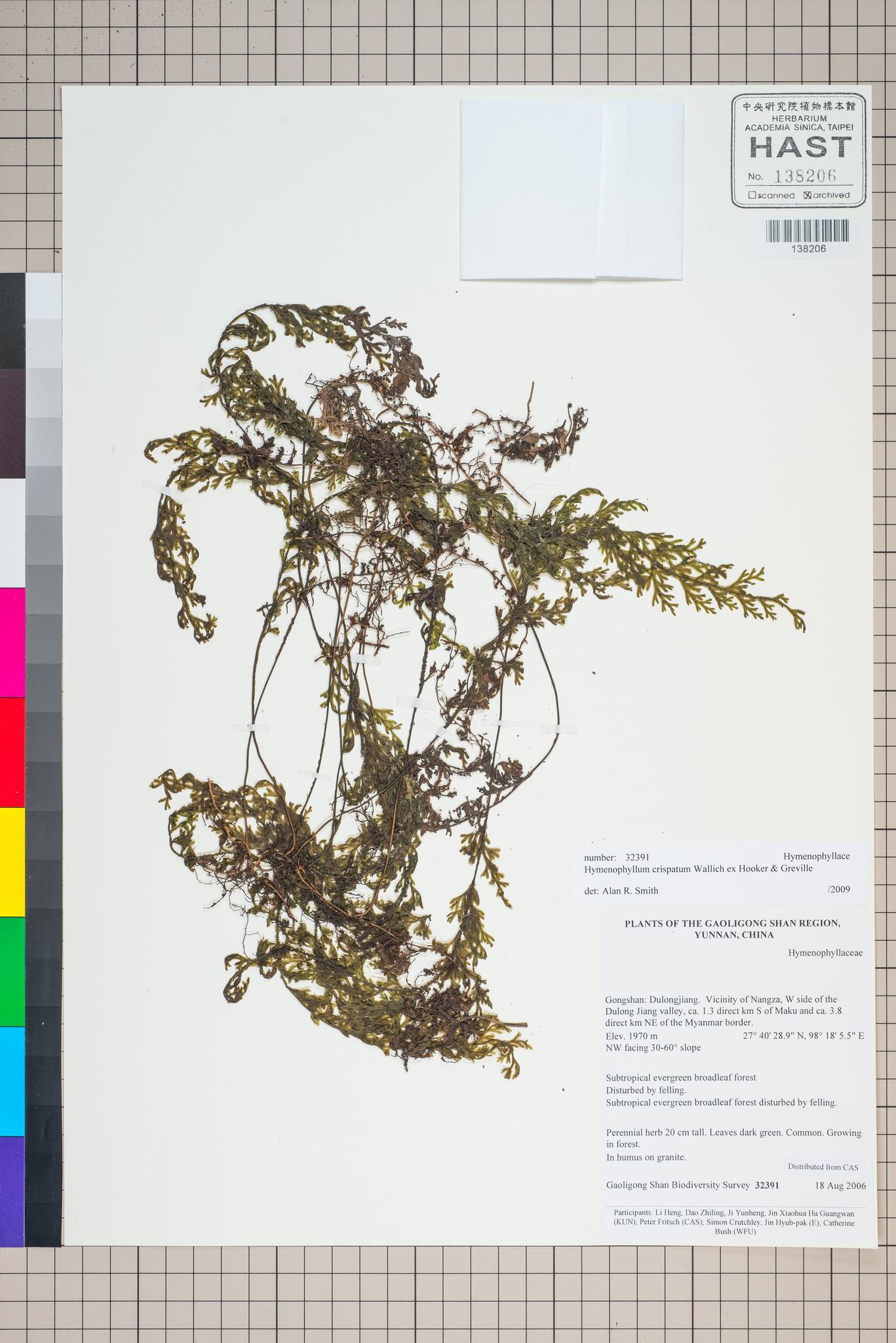 Sample image for viewer