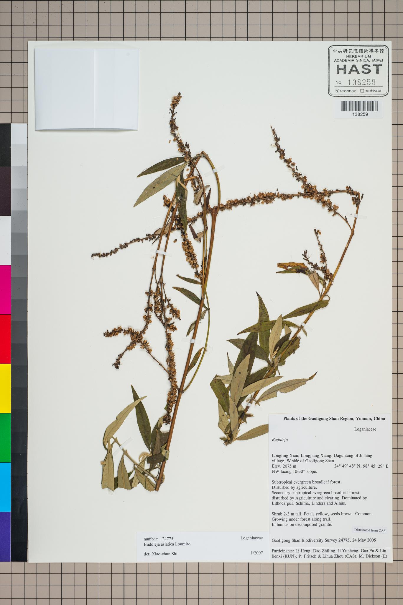 Sample image for viewer